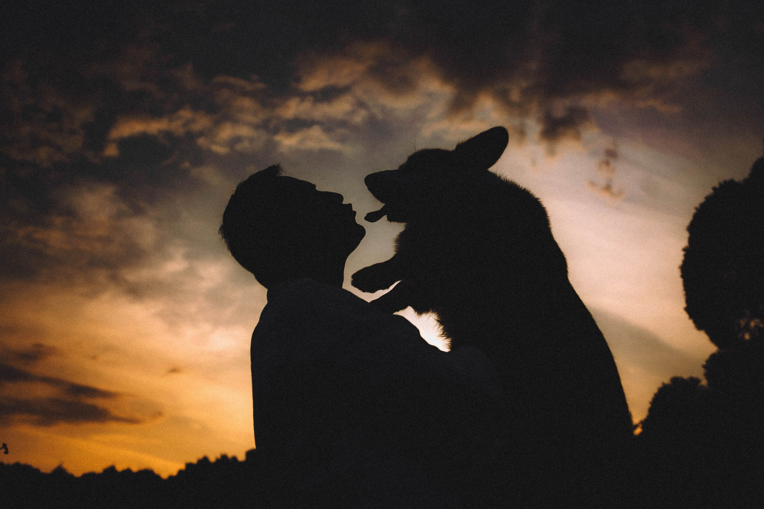 Арчи и его семья