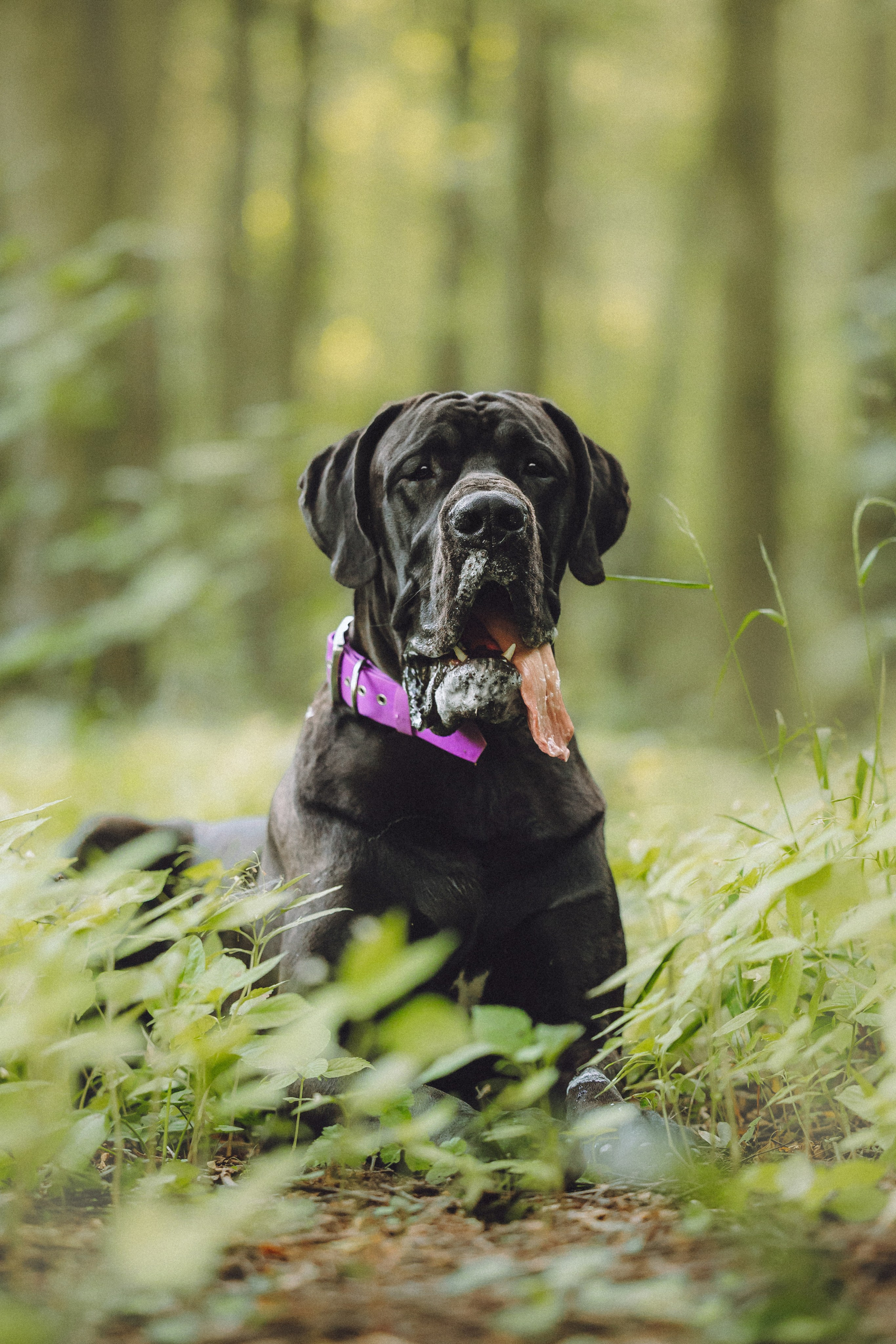 Катя, Андрей, Гектор, Ричи, Тортик и Трой