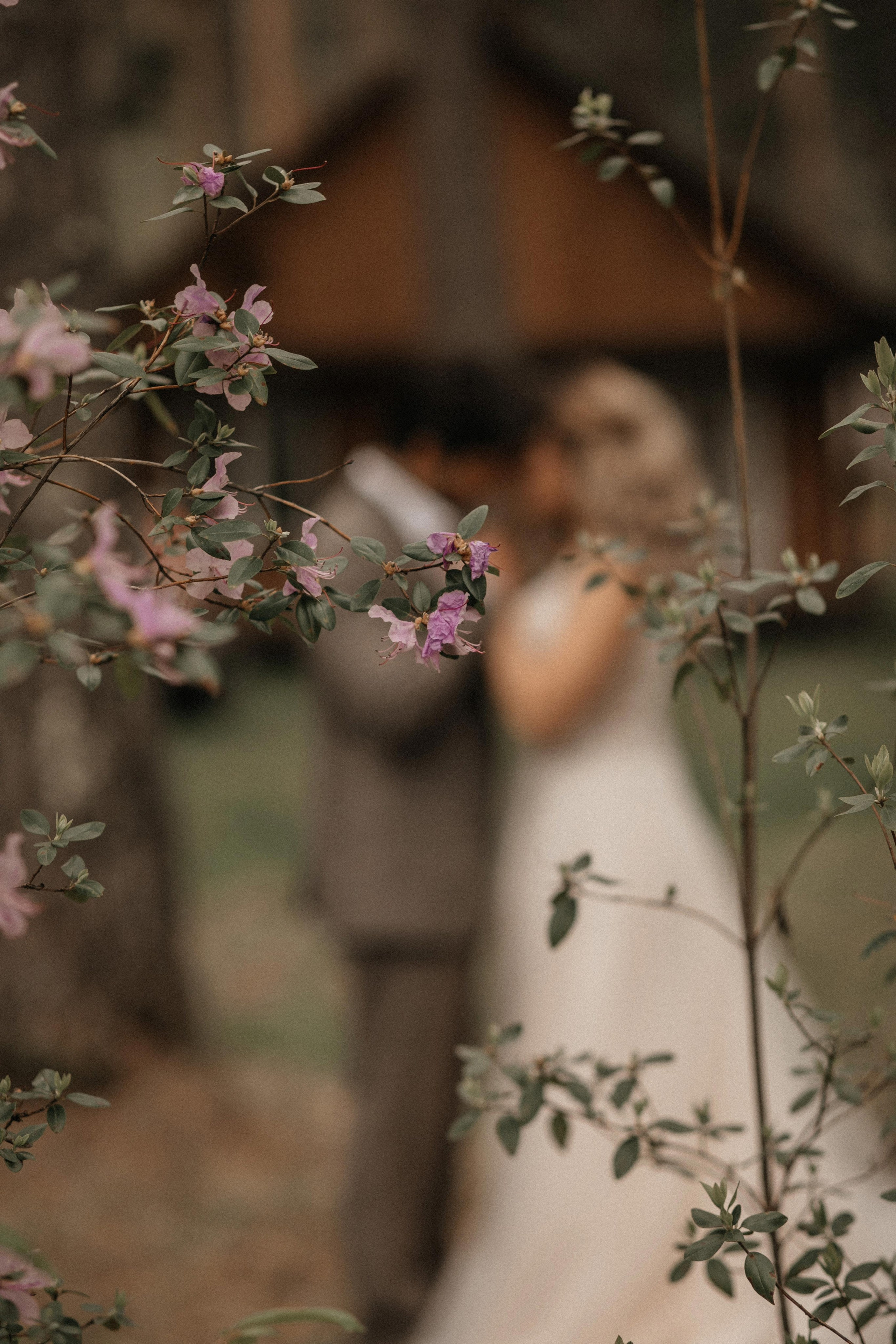 Свадебная история для двоих в Горном Алтае. Свадебный и семейный фотограф Рассказова Виктория