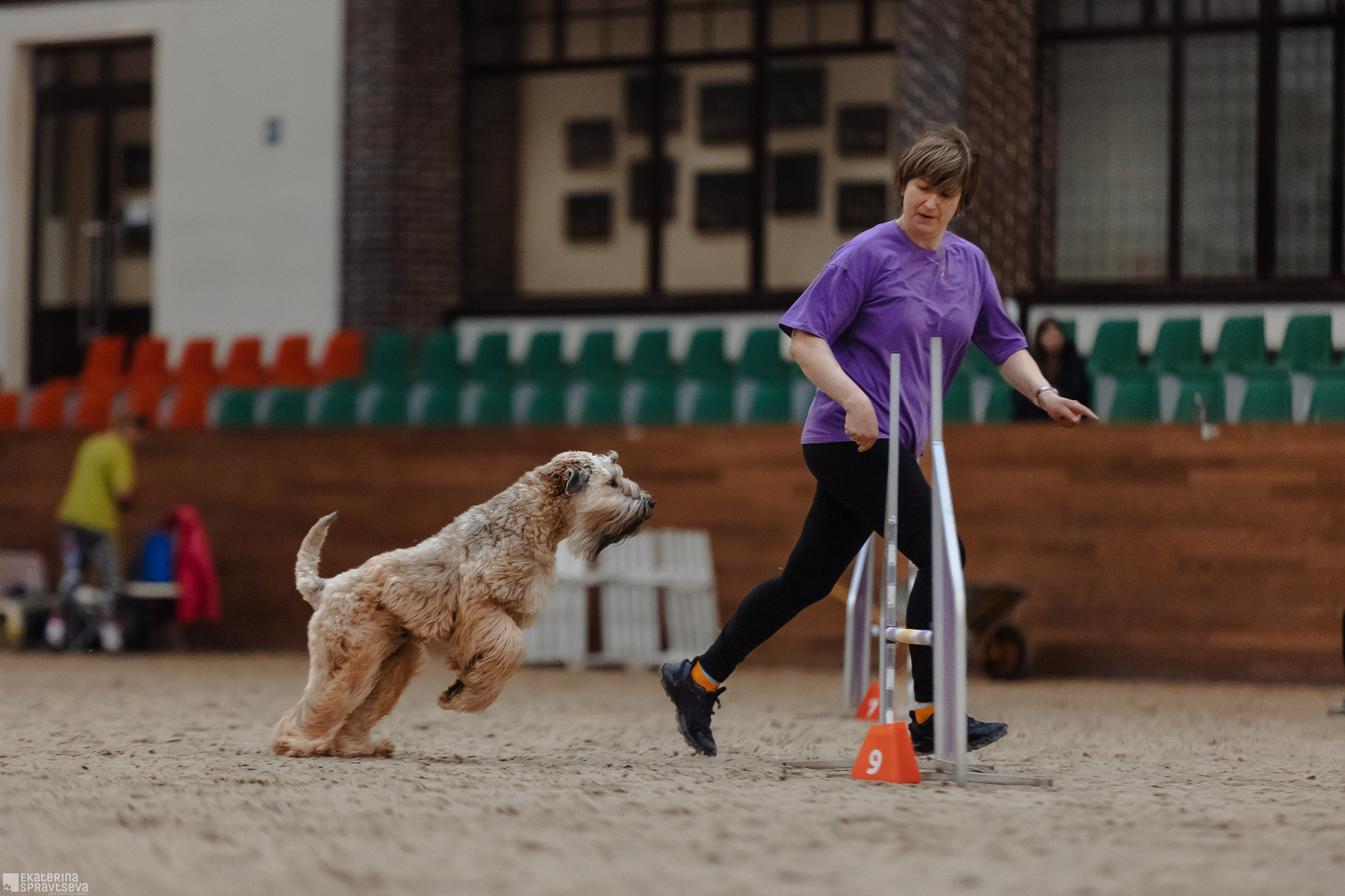 ЧРКФ Аджилити в Максима. Фотограф Анималист Екатерина Справцева в Нижнем Новгороде