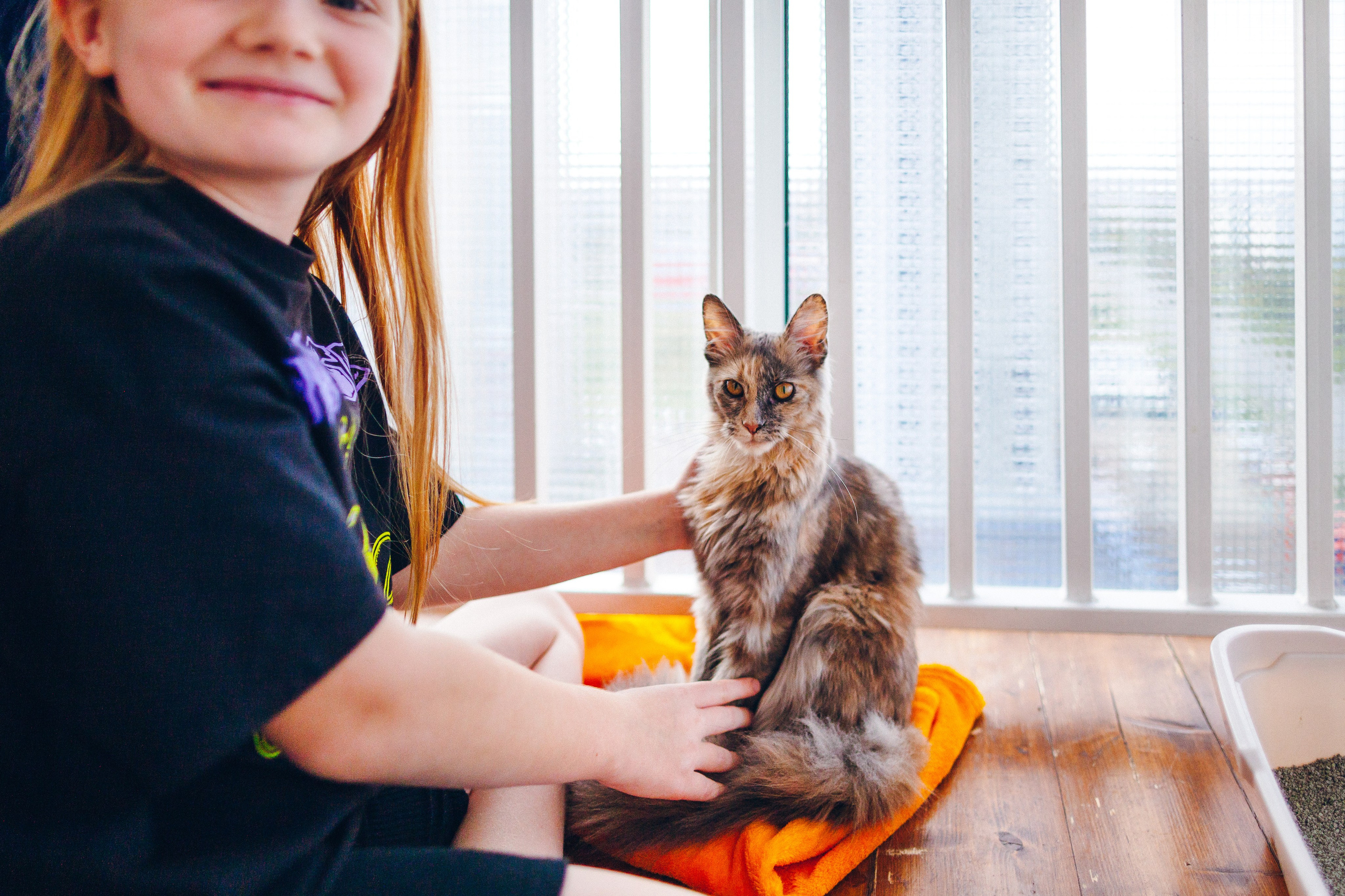 ***. Фотограф Денис Денисов