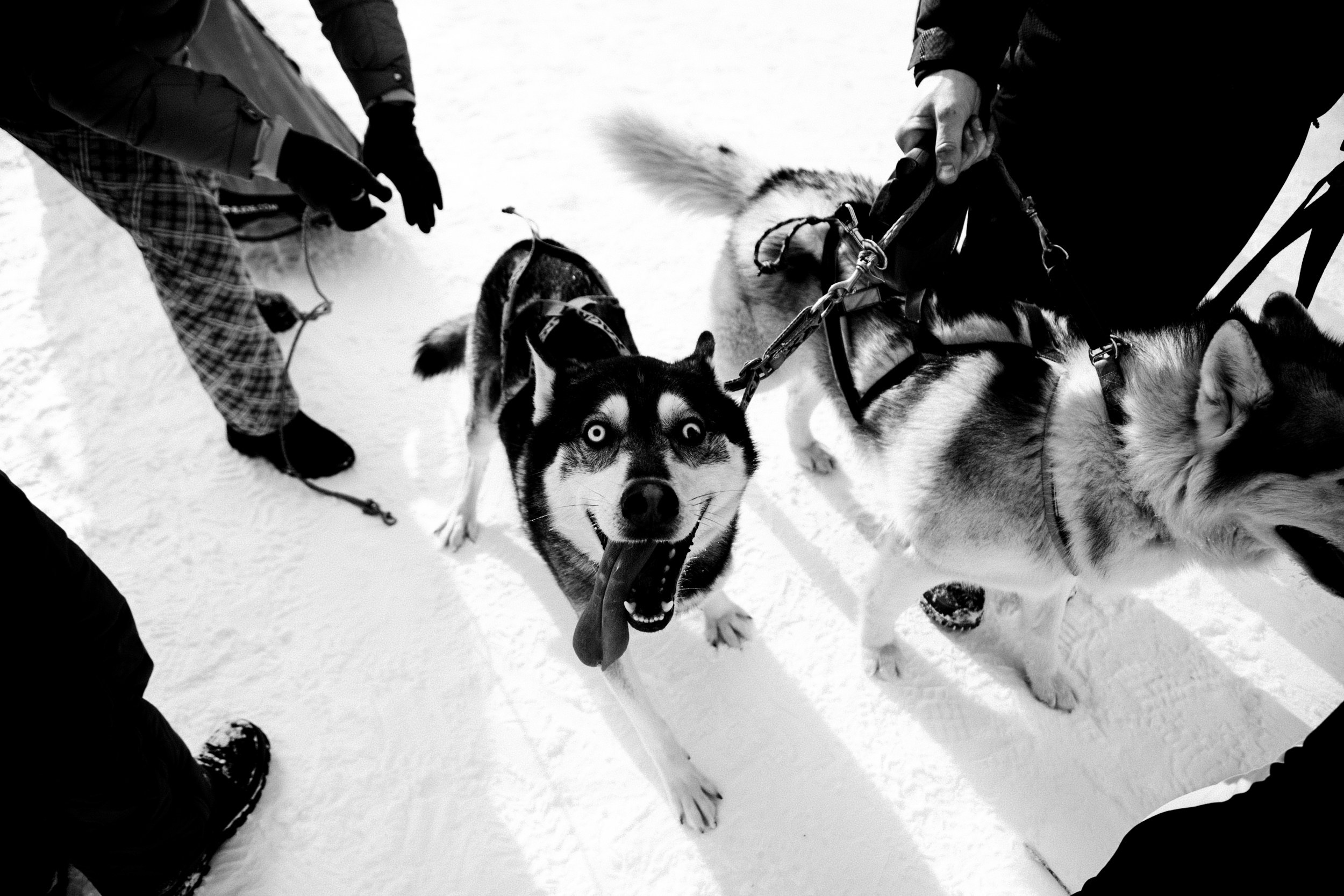 Одним кадром. Репортажный и портретный фотограф во Владимире Сергей Кравцов
