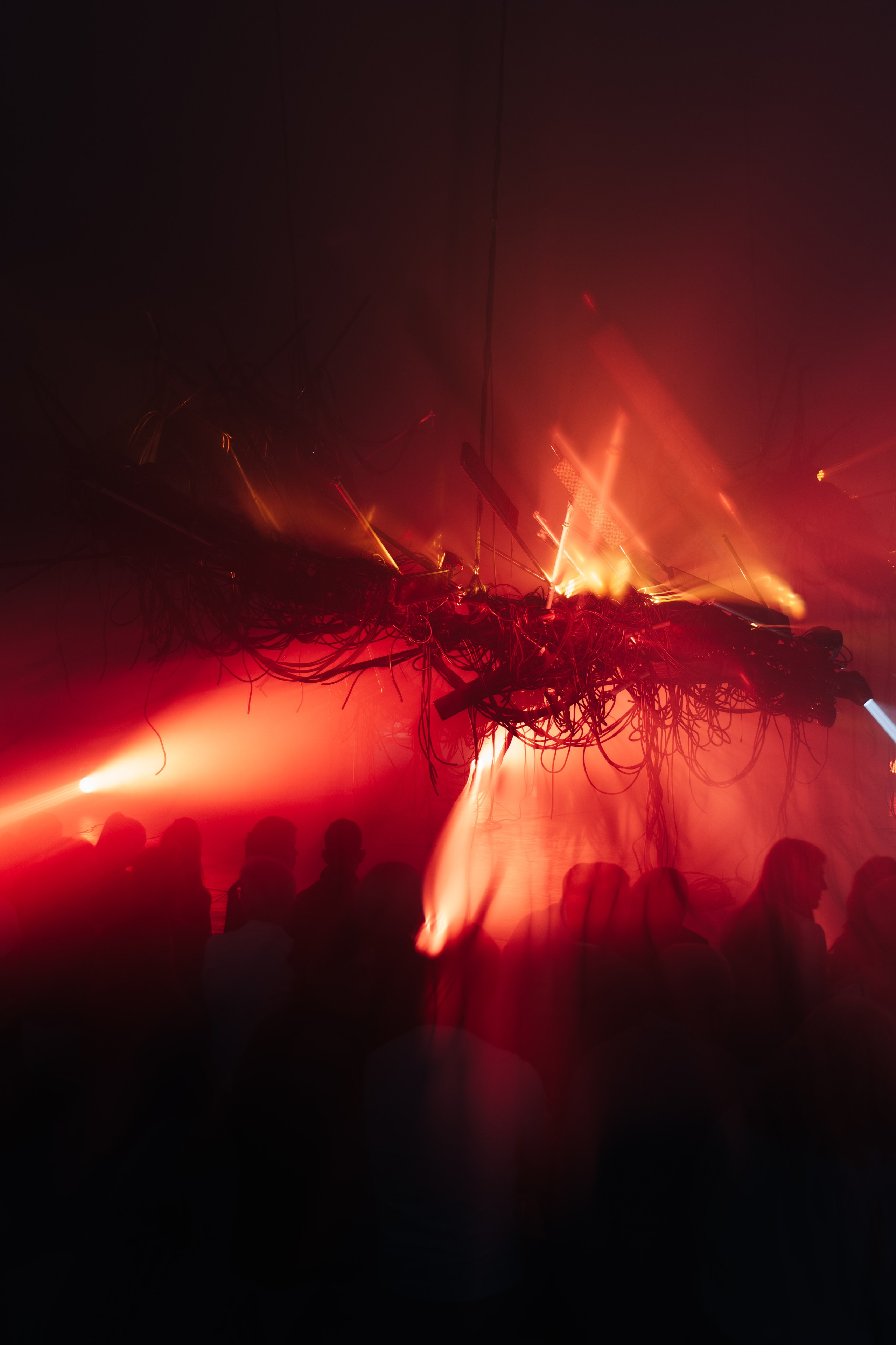 PERFORMA, The Hour of the Horse. @tomrus: Рустам Шагиморданов — фотограф