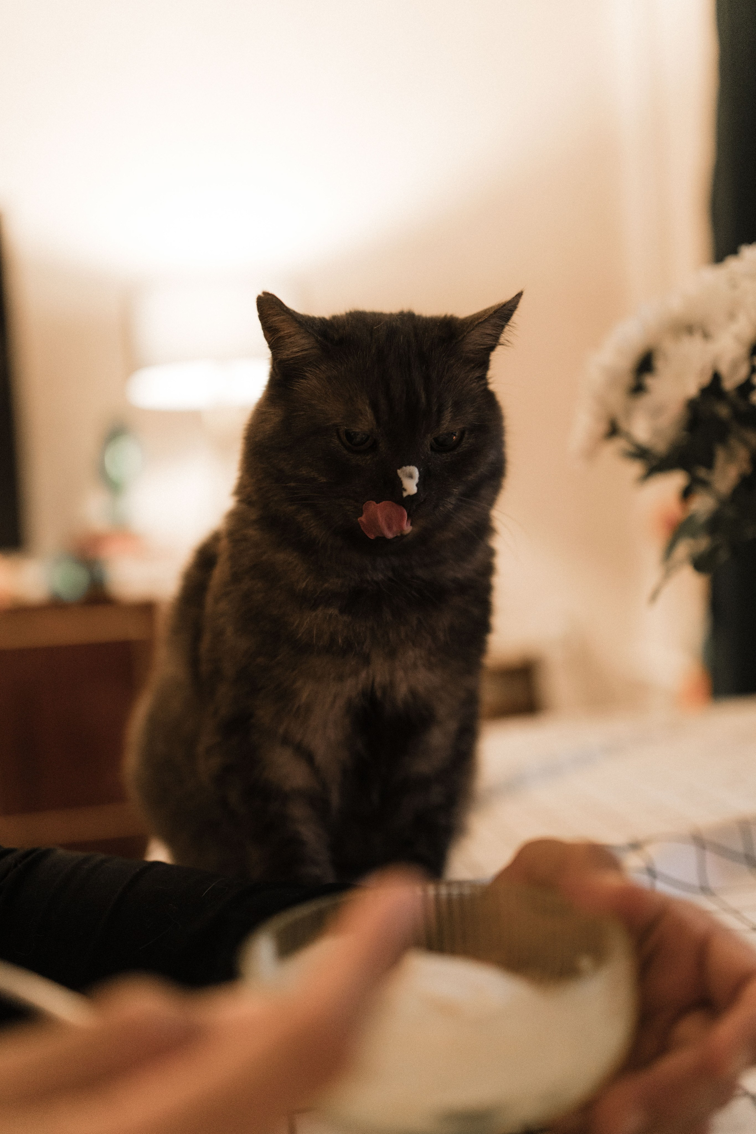 А & И. Женский и свадебный фотограф Москва Елизавета Перова