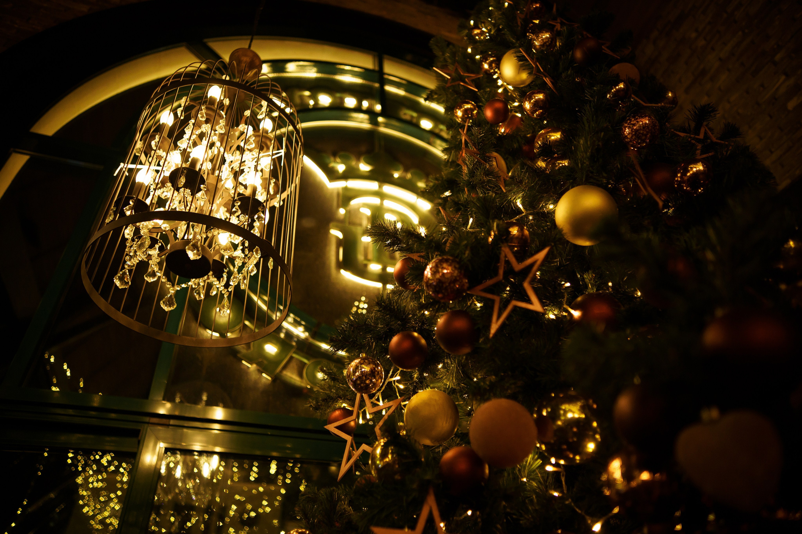 Репортажный фотограф Ростов-на-дону