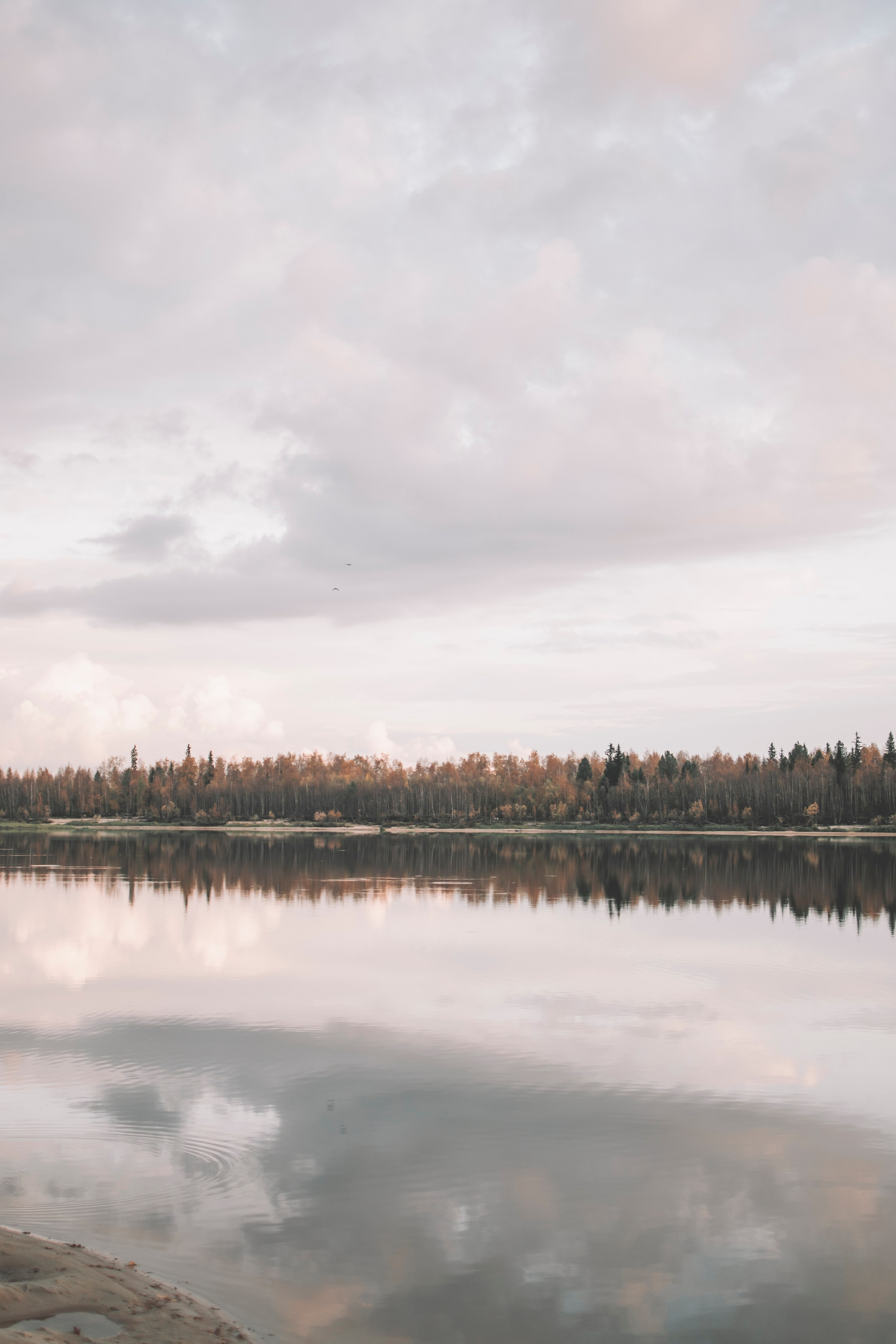 «Любовь живет тут…». Семейный и свадебный фотограф Губкинский и Ставрополь