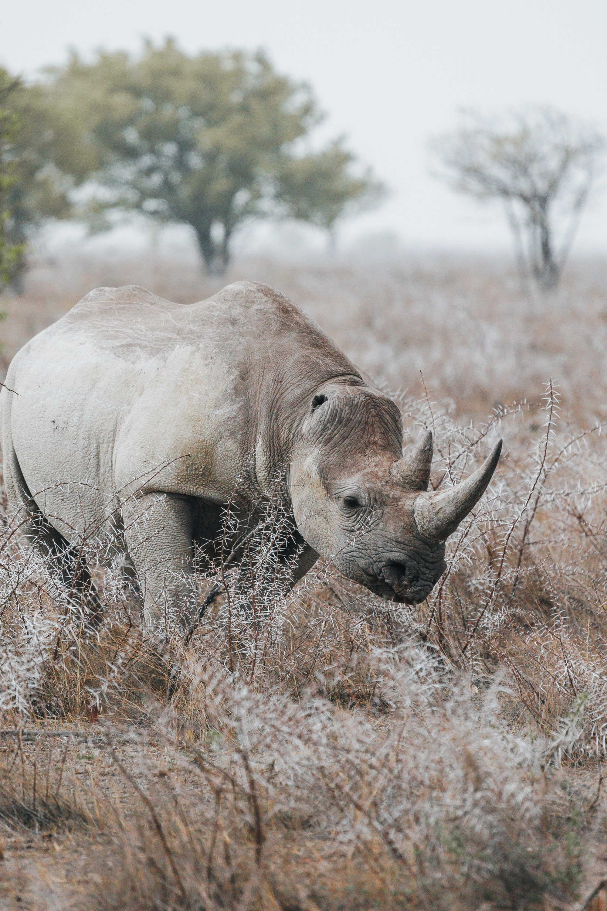 НАМИБИЯ. Роадтрип