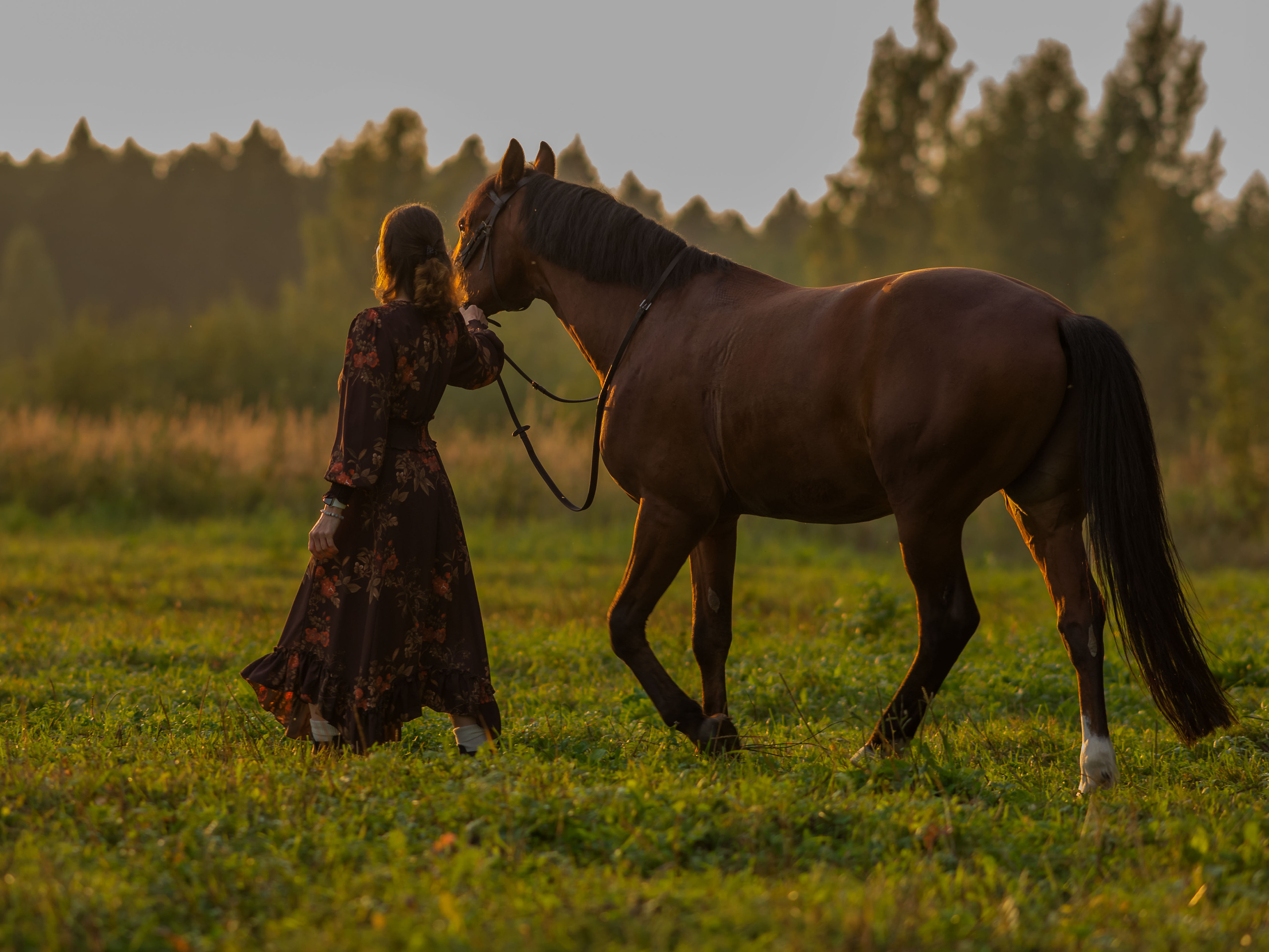 Конная фото прогулка Троицк москва