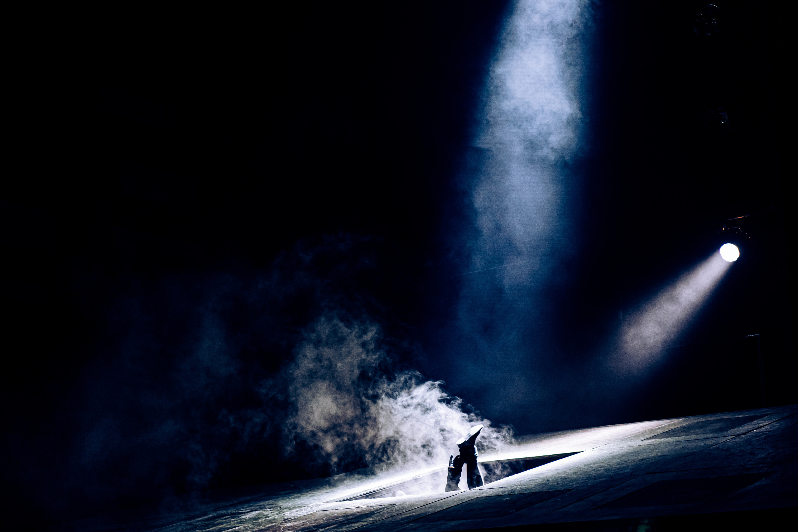 «Визит дамы». Театр Комедии им. Н. П. Акимова. Фотограф в Санкт-Петербурге Батурина Елена