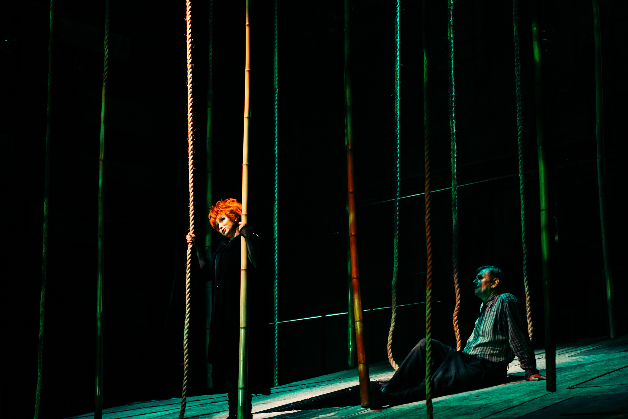 «Визит дамы». Театр Комедии им. Н. П. Акимова. Фотограф в Санкт-Петербурге Батурина Елена