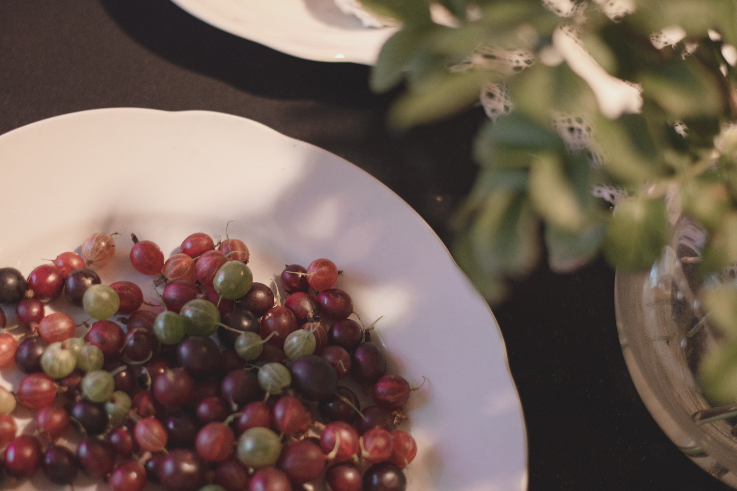 Репортаж. Фотограф Светлана Амирханова