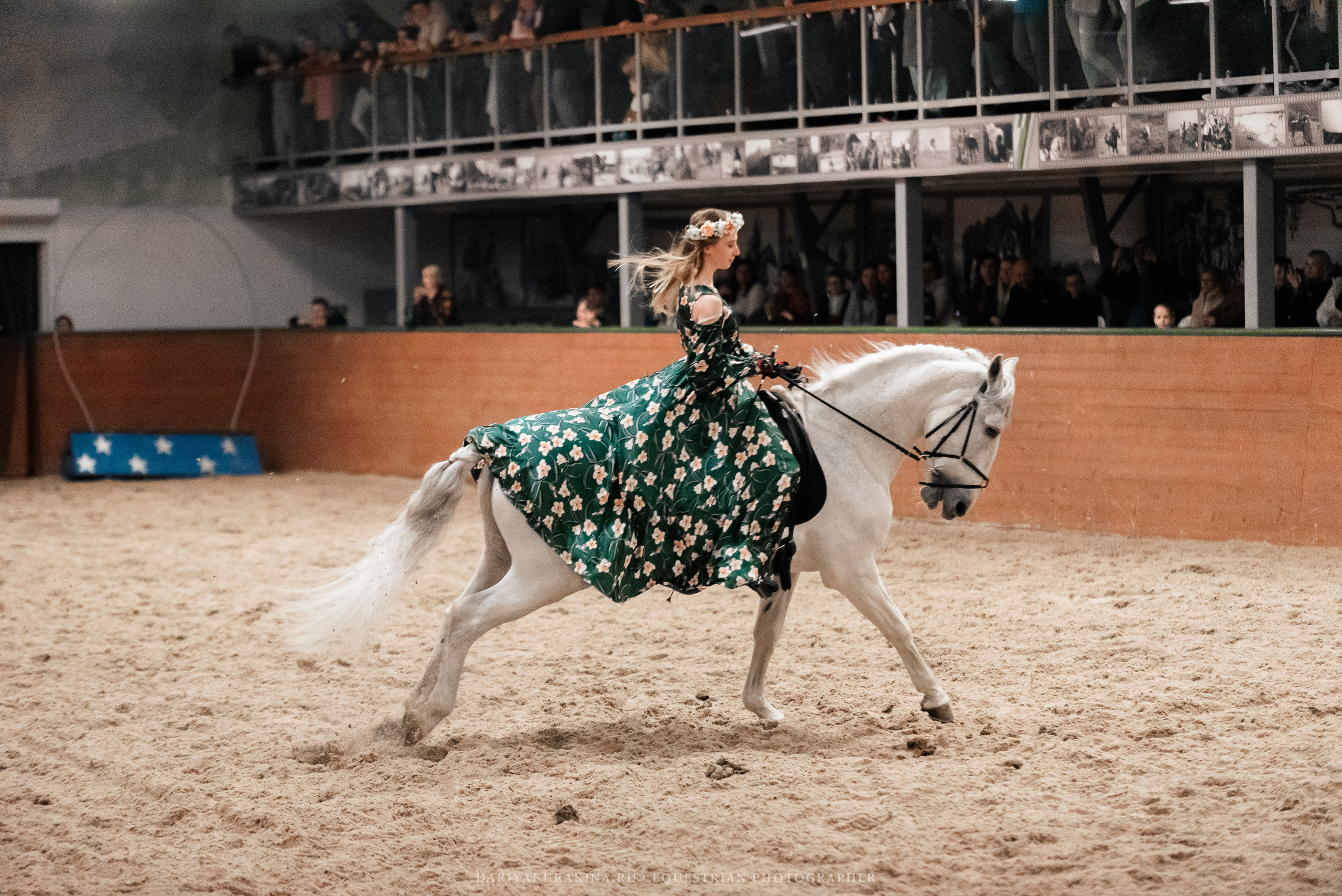 Конное представление «Дыхание Звёзд». Конный фотограф Куракина Дарья • Фотосессии с лошадьми