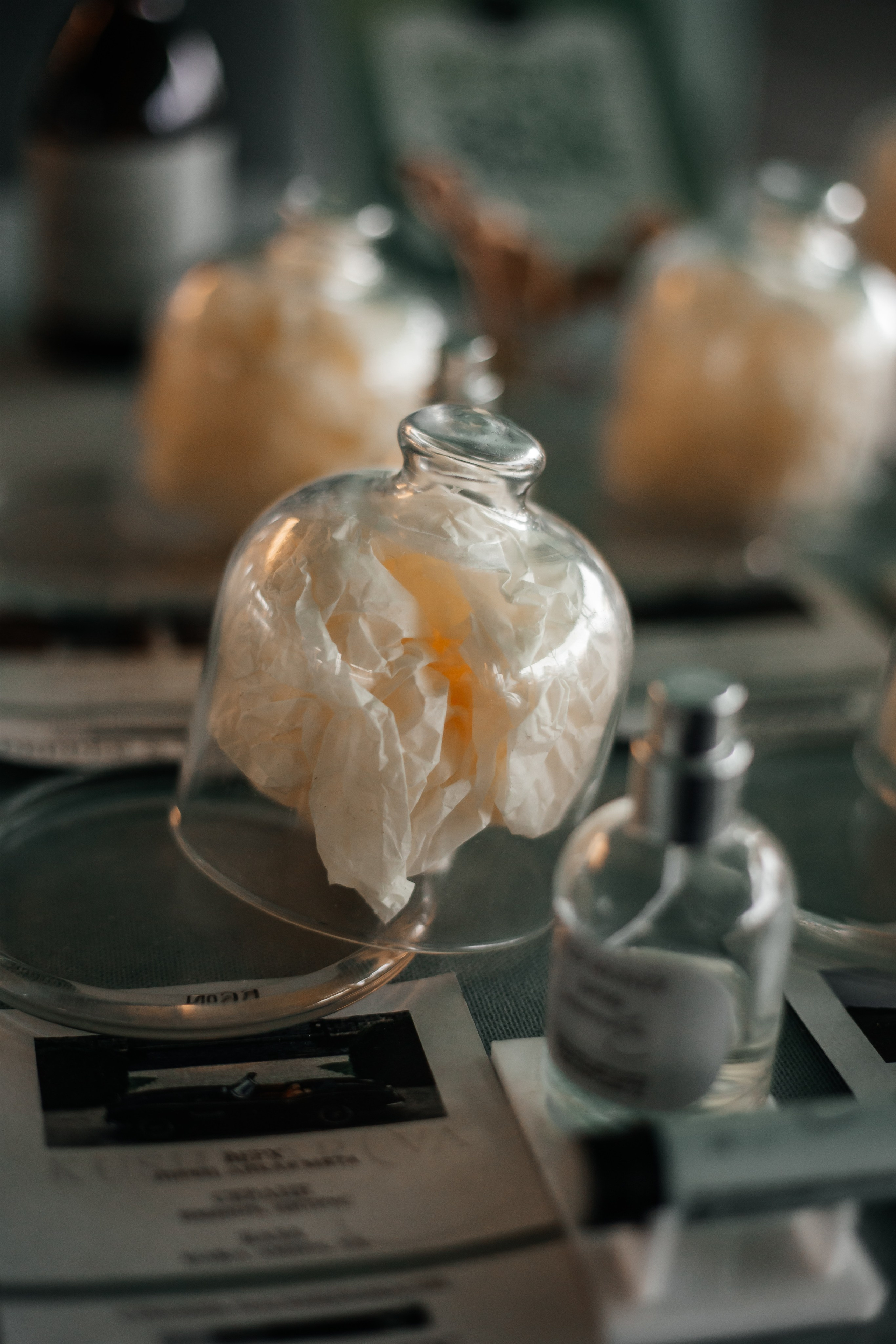 Шалаш фест 2025. Семейный фотограф Виктория Потехина Москва