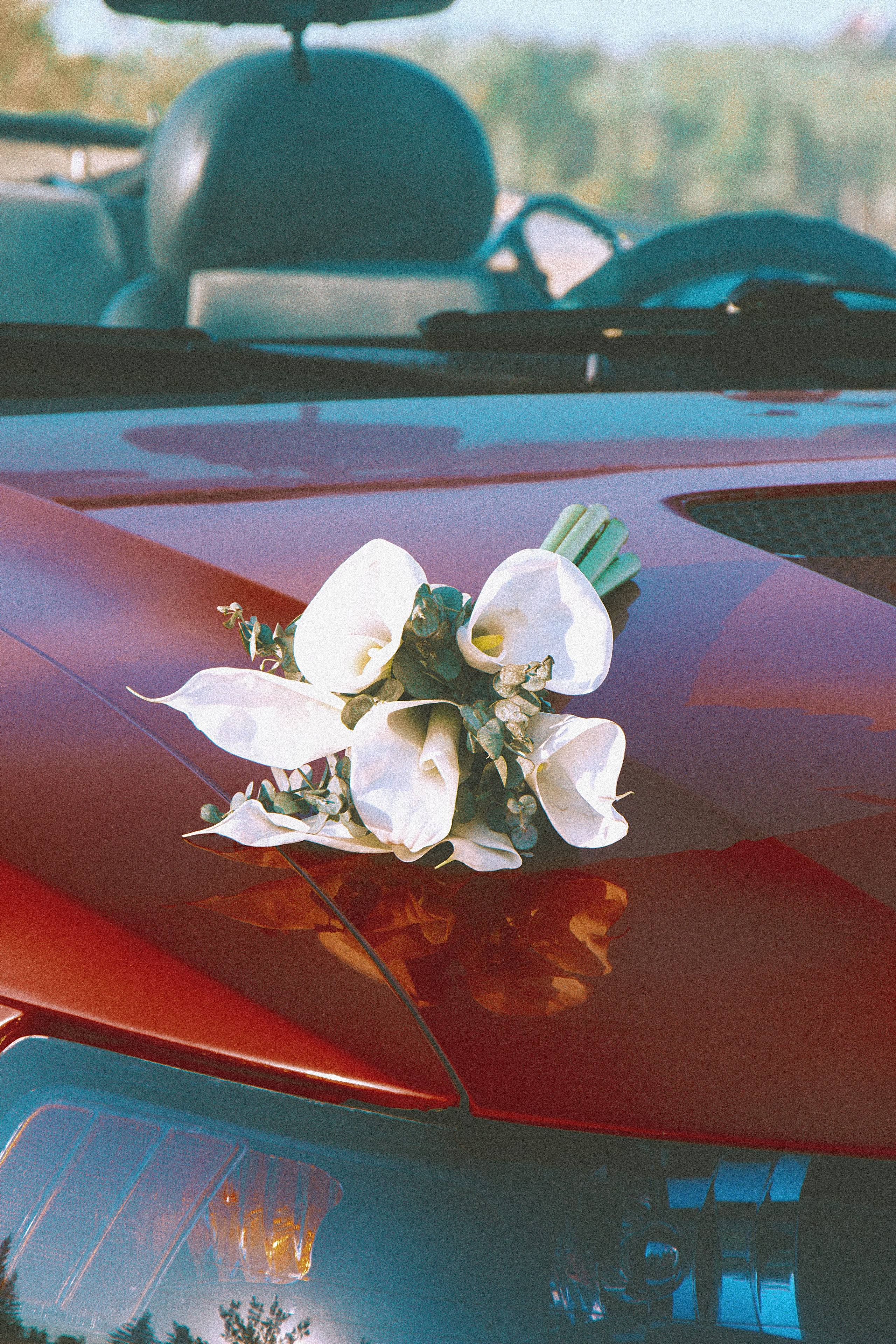 Свадебный воркшоп. Фотограф и видеограф в Омск/Москва Сащенко Лера