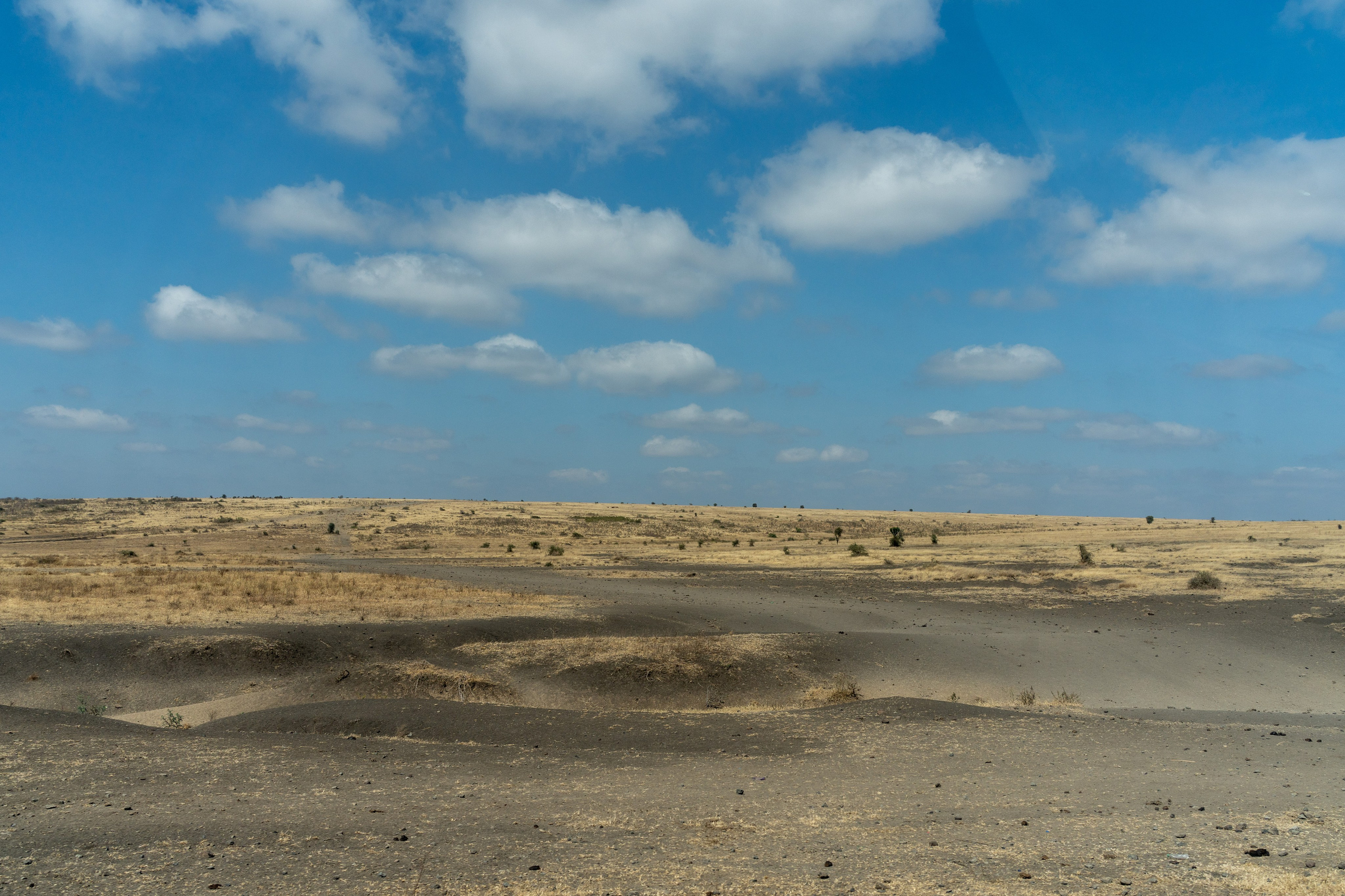 Танзания, сафари, 2025. Творческие сьемки