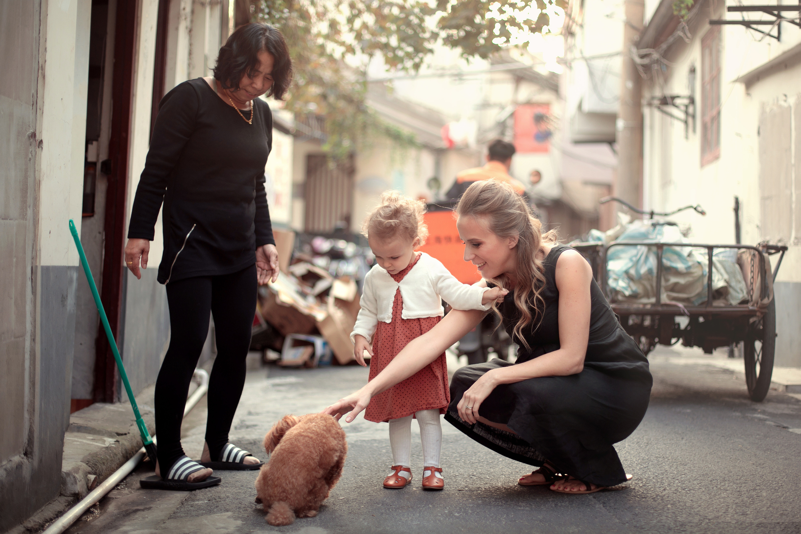 Семейная фотосессия в Шанхае. Свадебные видео