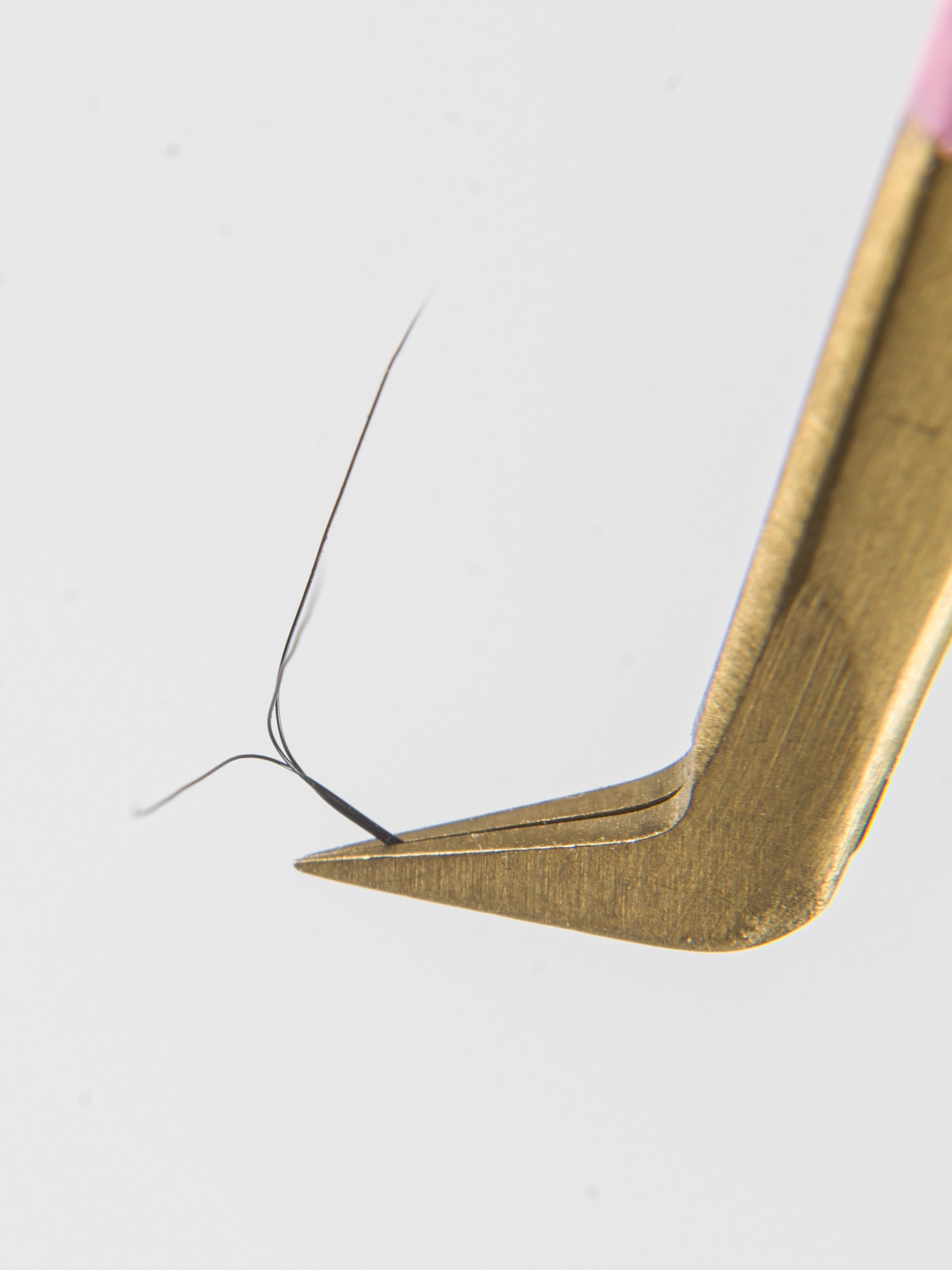 пинцет в котором зажата ресничка для наращивания в мастерских 