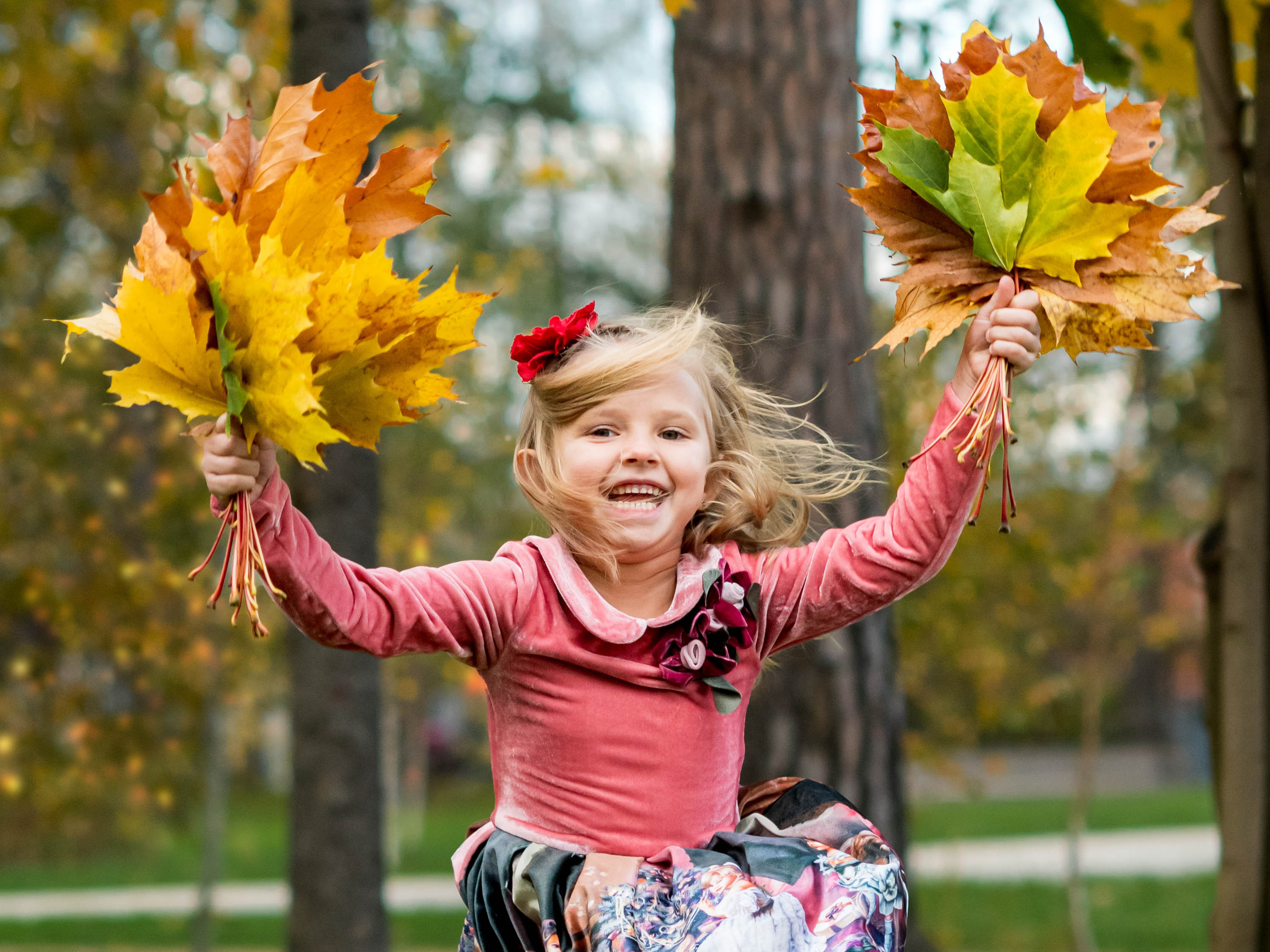 девочка с двумя букетами желтых кленовых листьев радуется прекрасной погоде