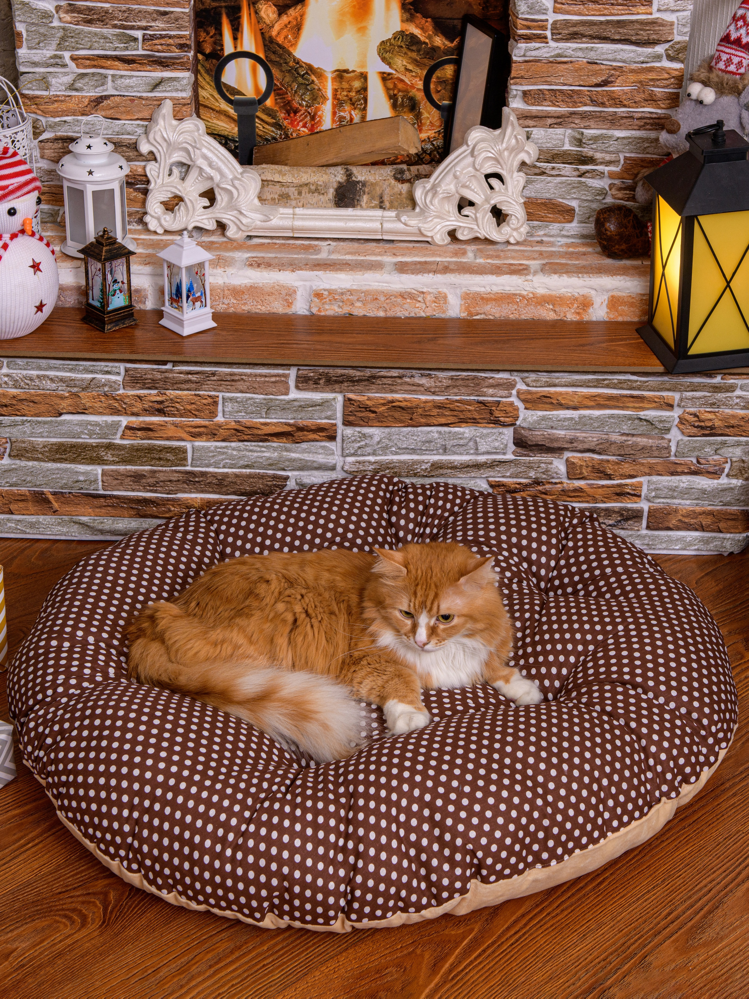 кот лежит на лежанке для животных на полу перед камином