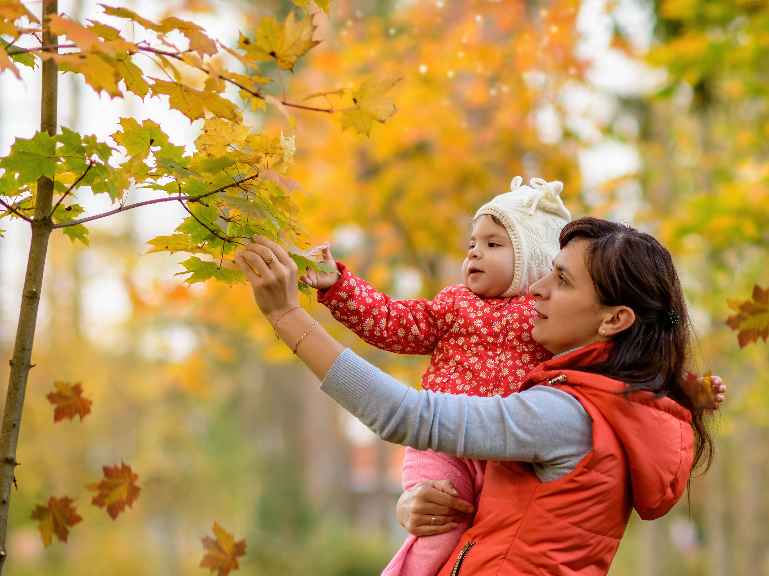 Мама держит на руках дочку что бы та могла дотянуться до желтого листочка на клене