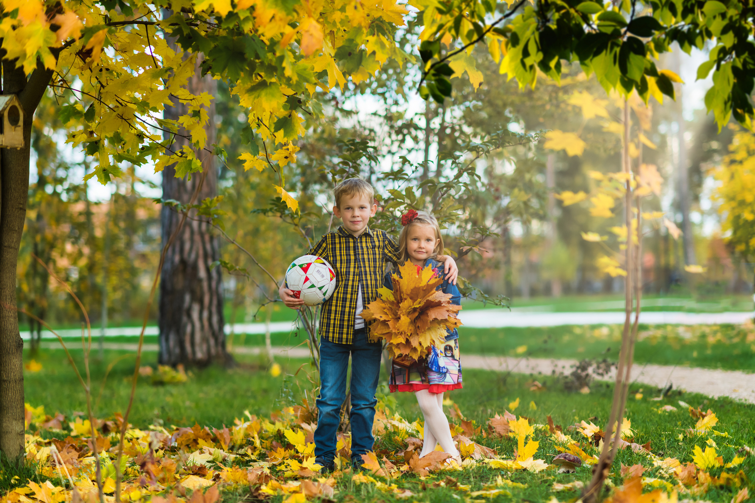 В осеннем парке стоят мальчик с девочкой видимо брат и сестра. Мальчик держит мяч а девочка букет из желтых кленовых листьев