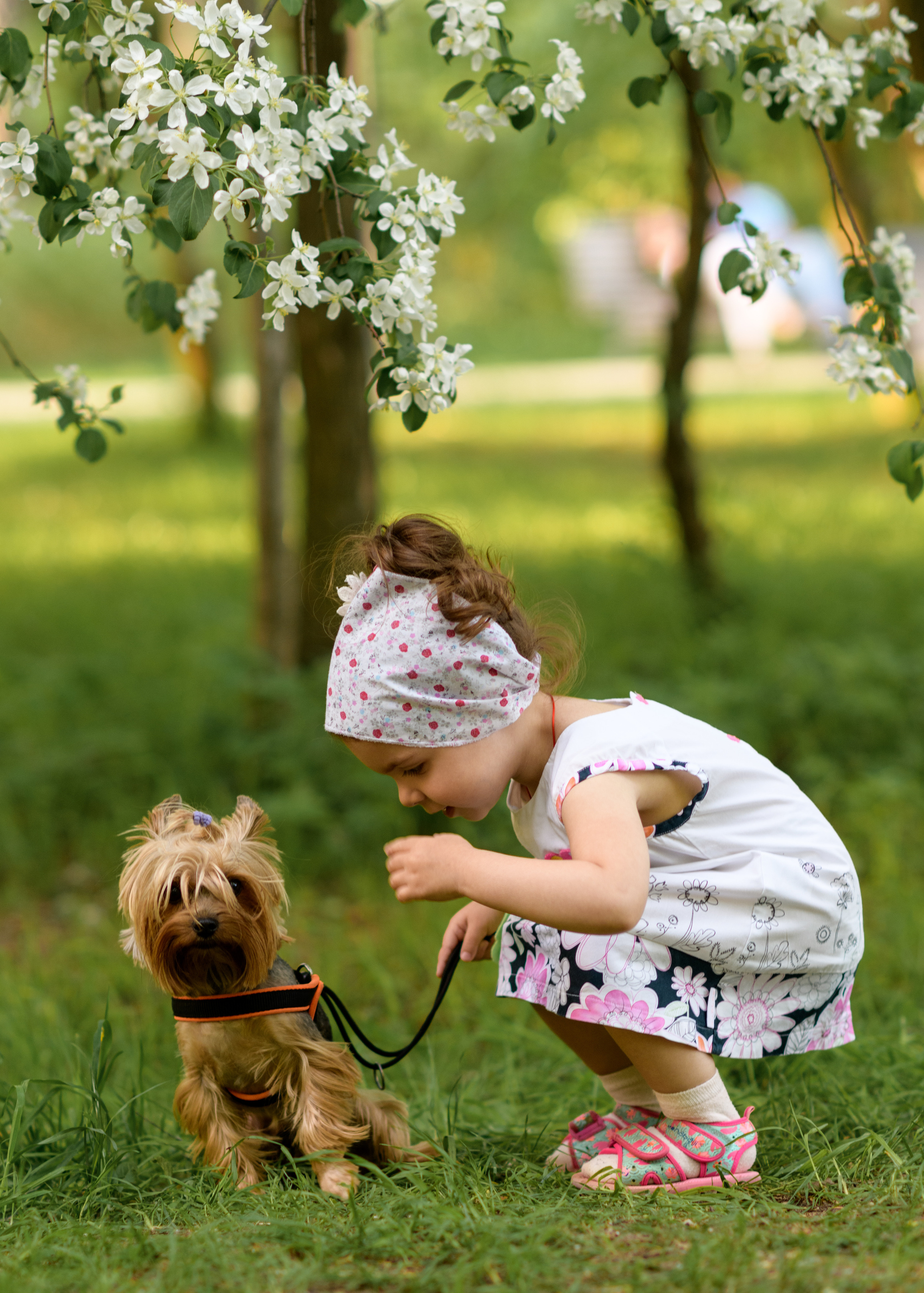 Девочка сидит на корточках в парке и что то говорит собачке