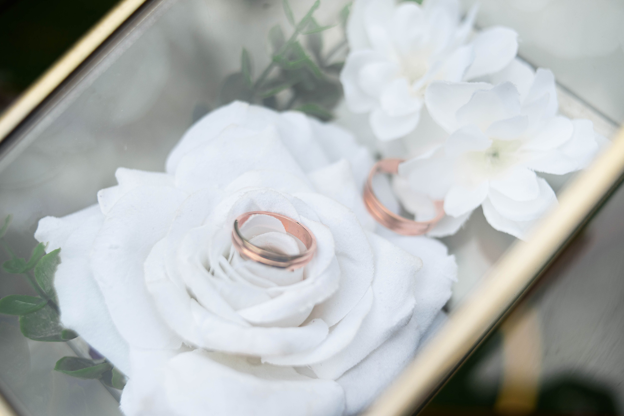 Яна и Юра. Свадебный фотограф в Самаре Анна Гладунова