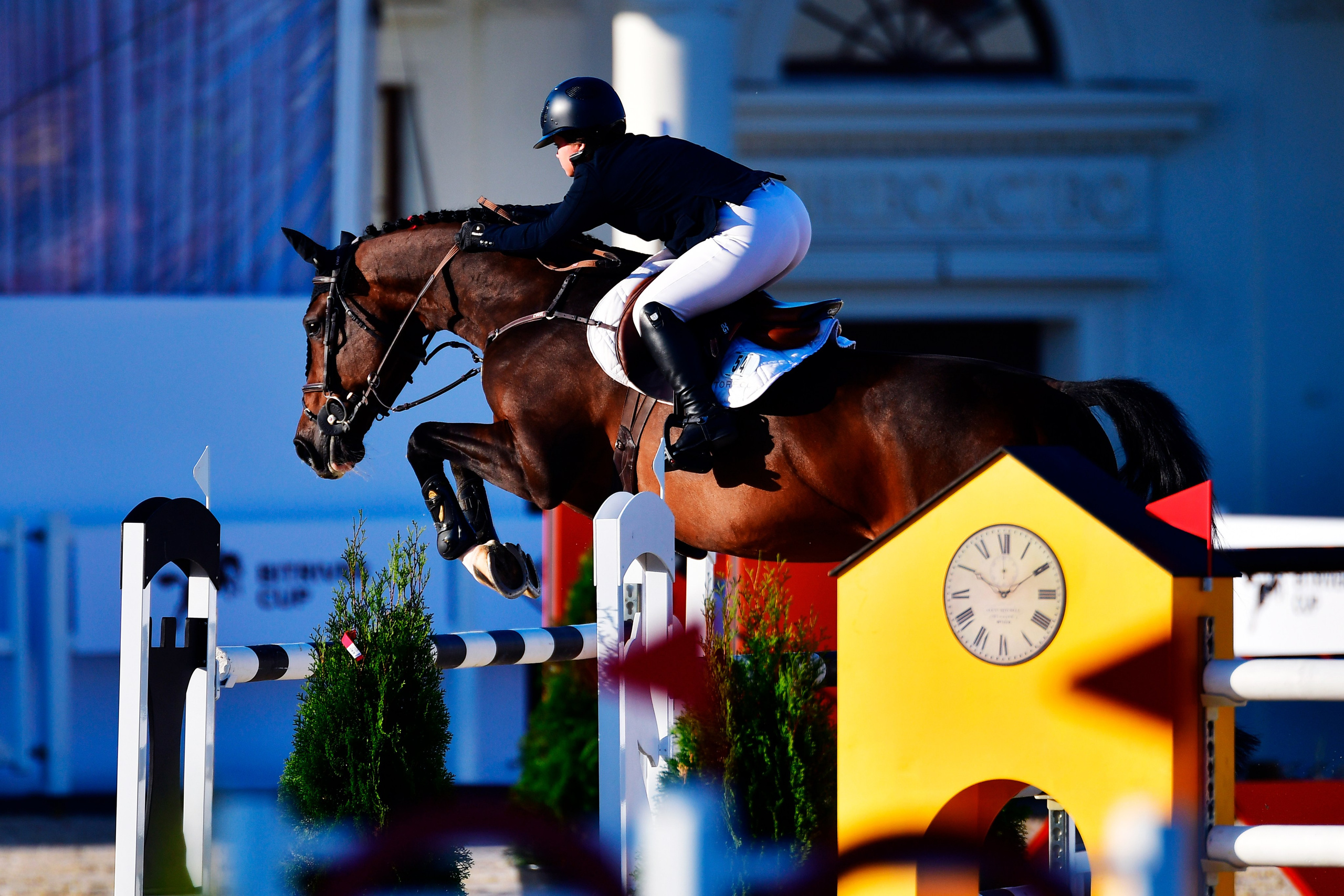 Репортаж Bitriver. Конный фотограф Alesya Safe