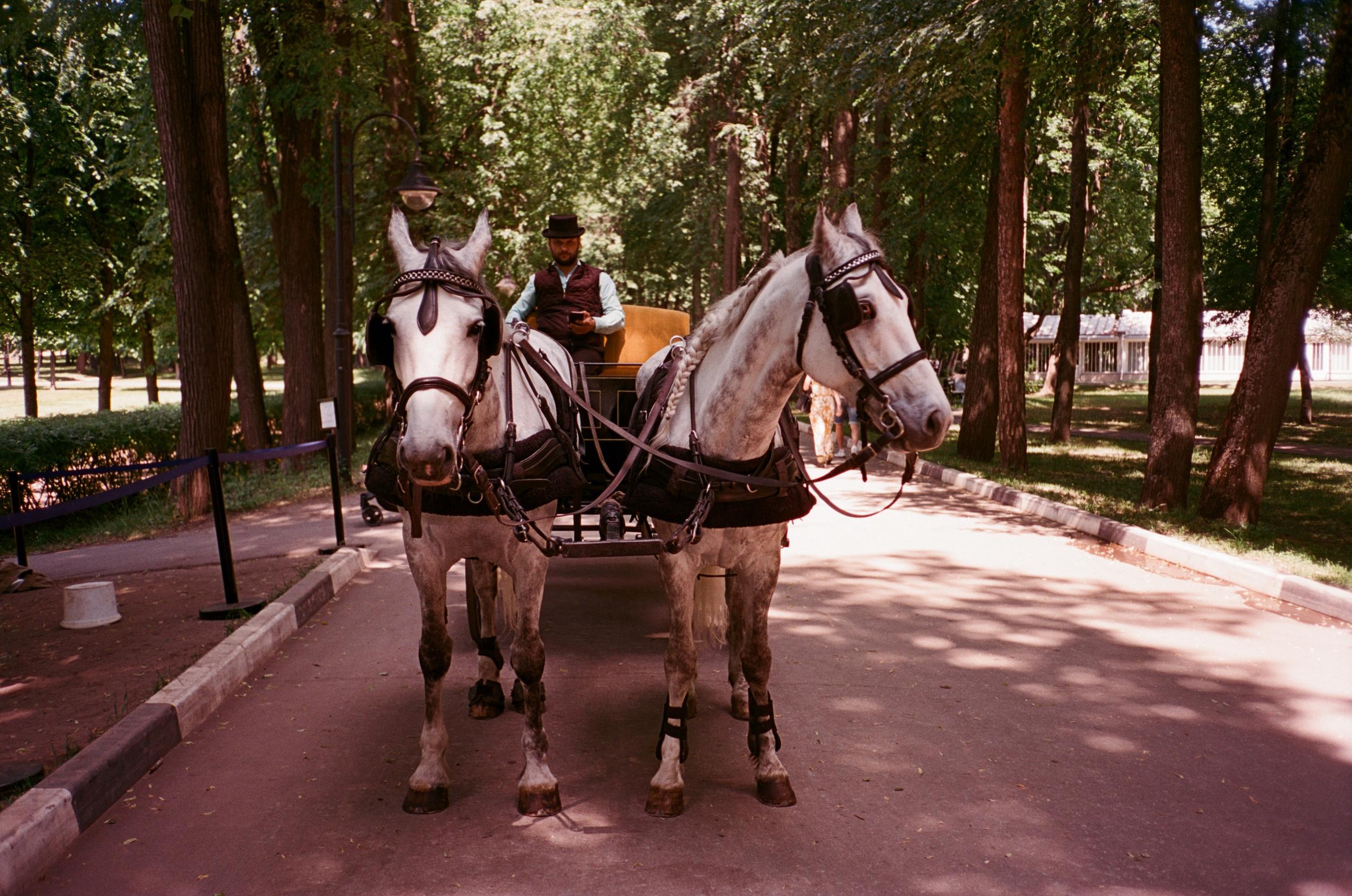 Архангельское. Лето. Июль. Фотограф-документалист Мария Осокина