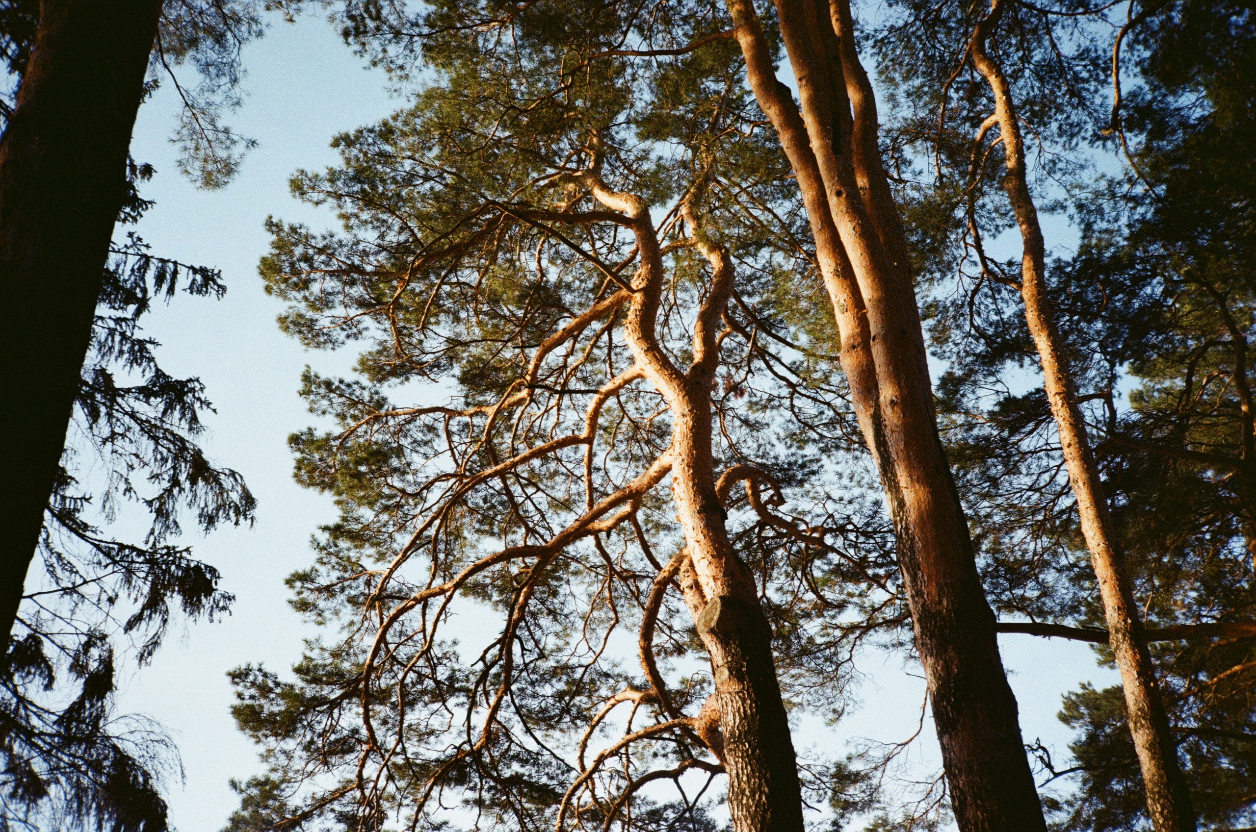 Поленово. Фотограф-документалист Мария Осокина