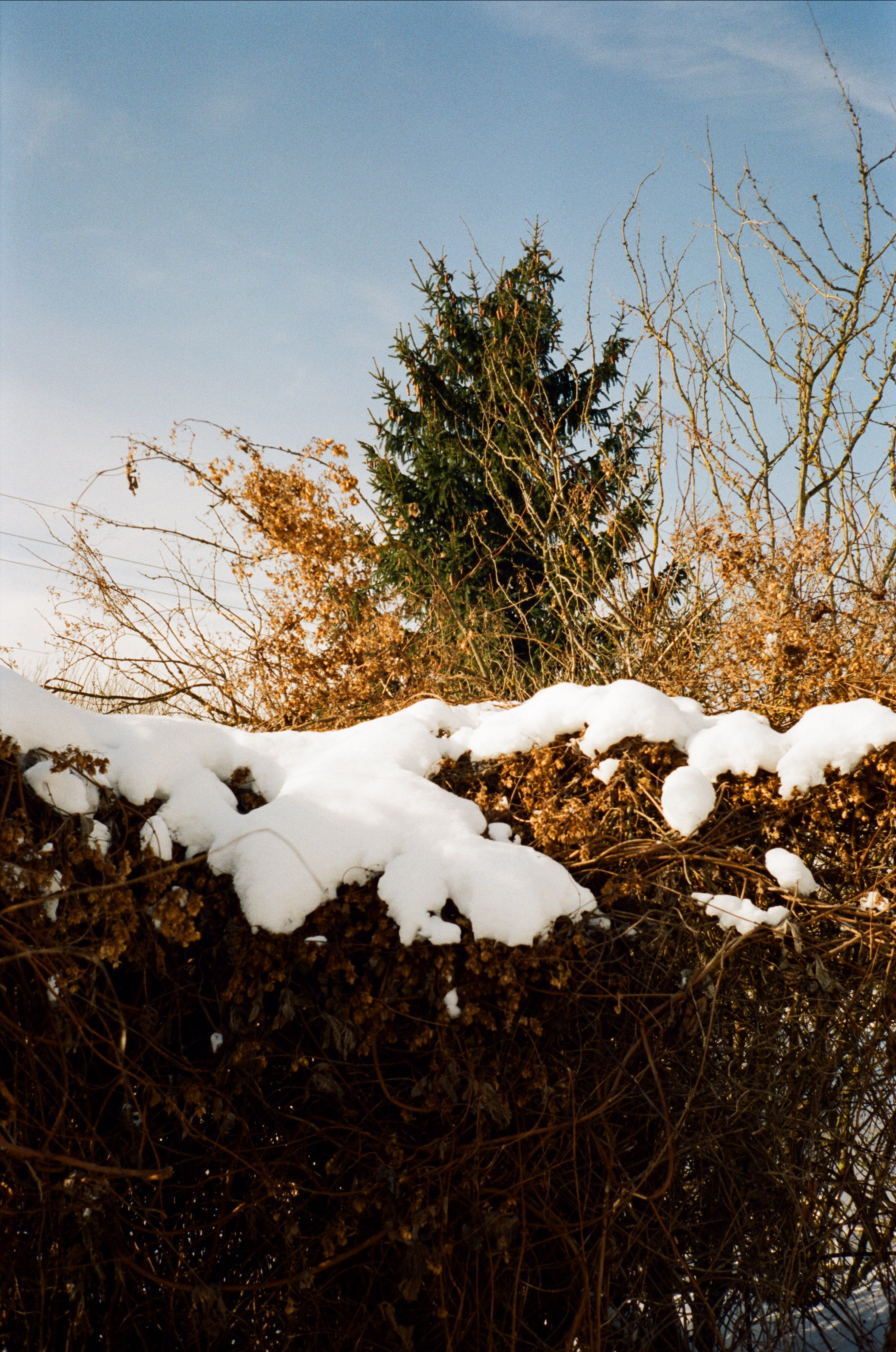 Давыдовское. Морозный вайб. Фотограф-документалист Мария Осокина