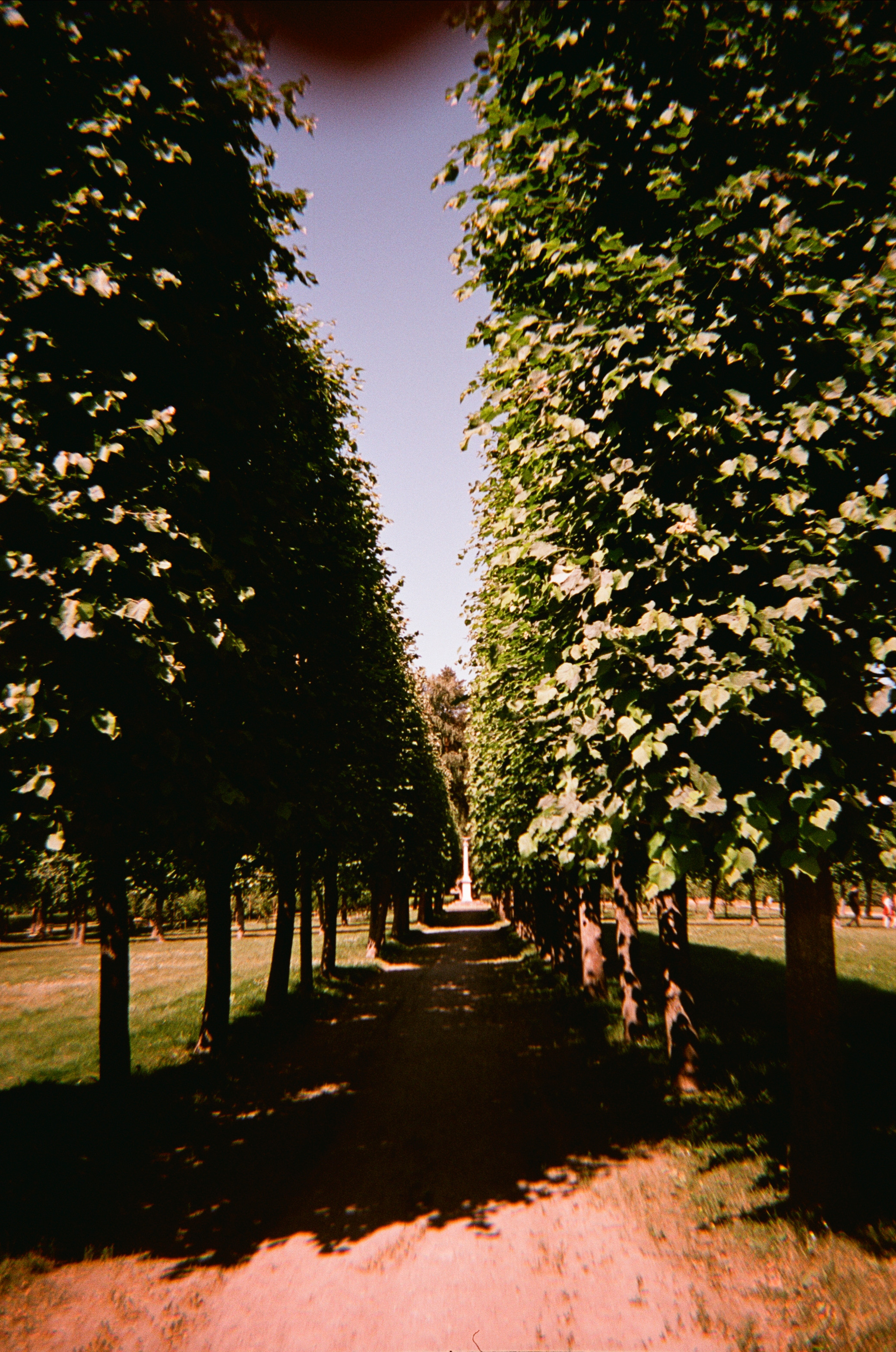 Архангельское. Июльская жара. Фотограф-документалист Мария Осокина