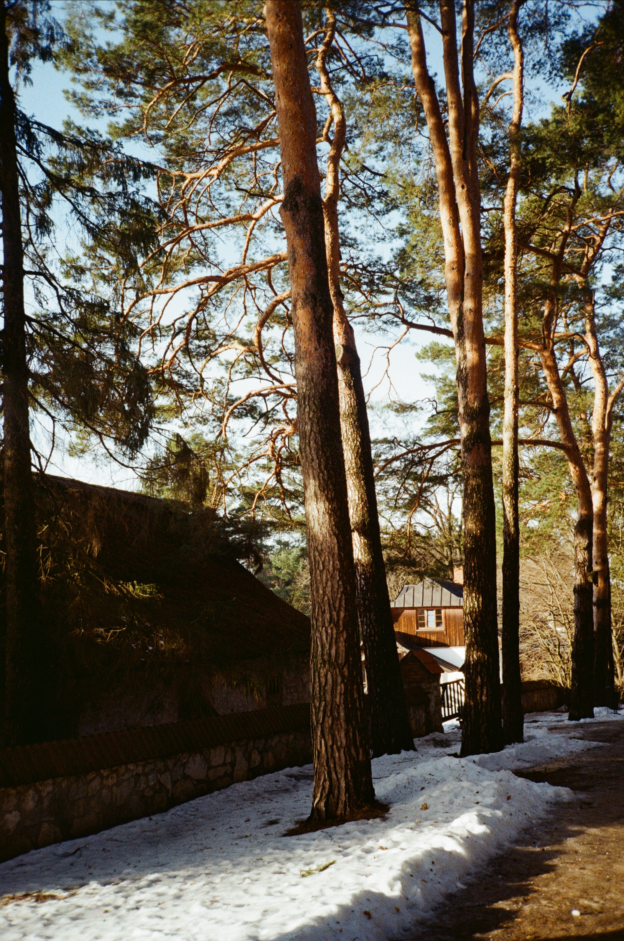 Поленово. Фотограф-документалист Мария Осокина