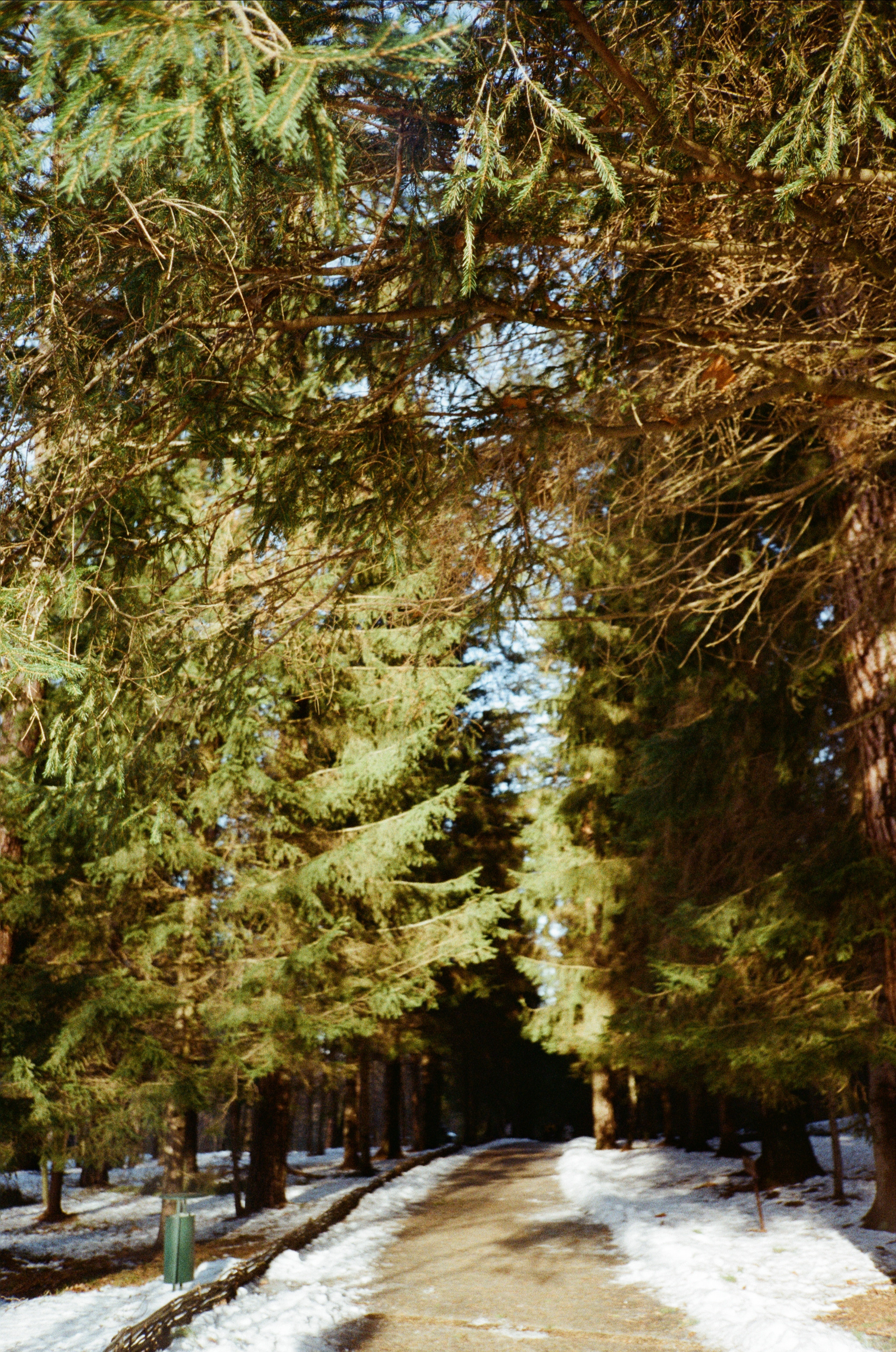 Поленово. Фотограф-документалист Мария Осокина