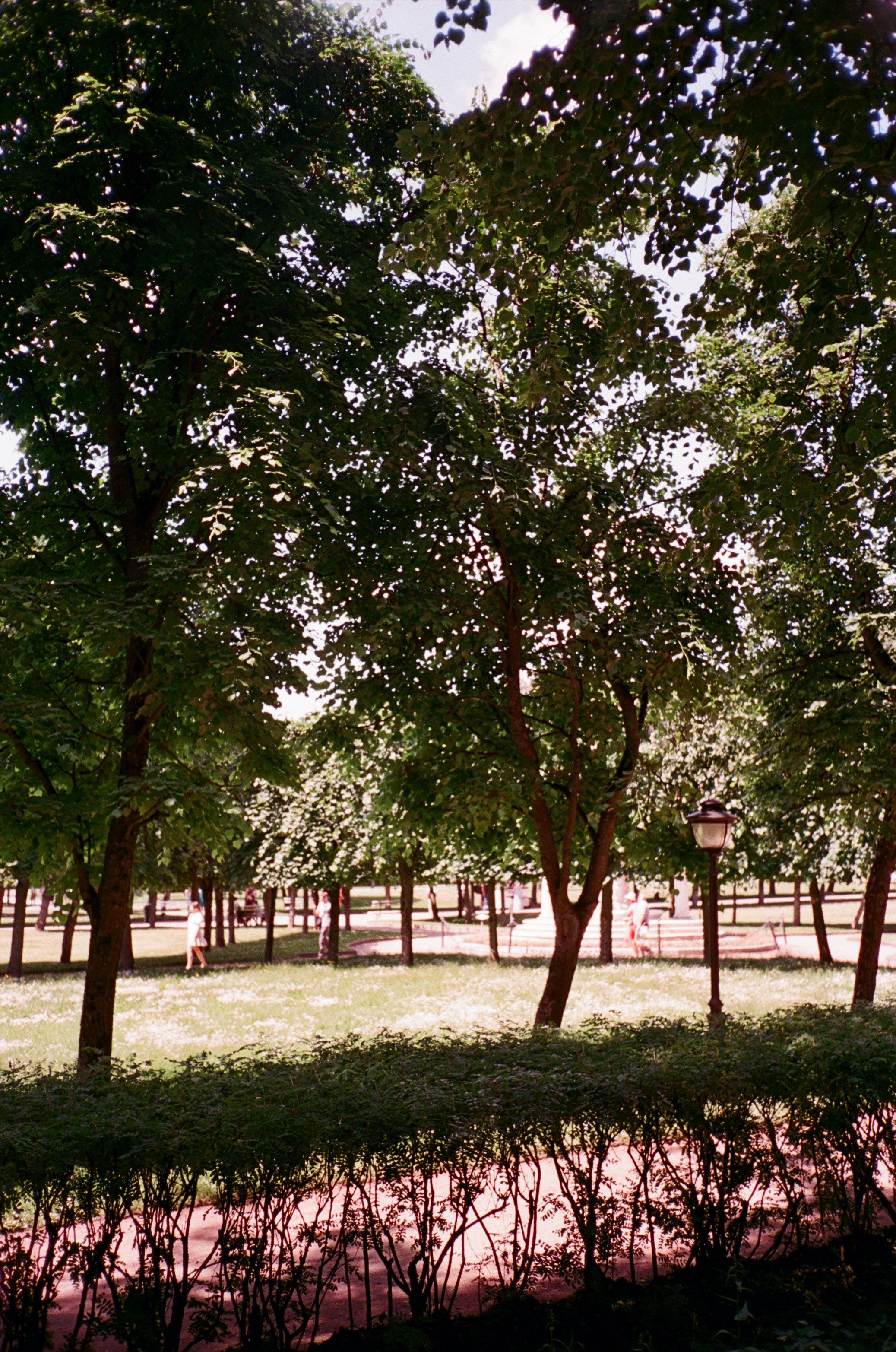 Архангельское. Лето. Июль. Фотограф-документалист Мария Осокина