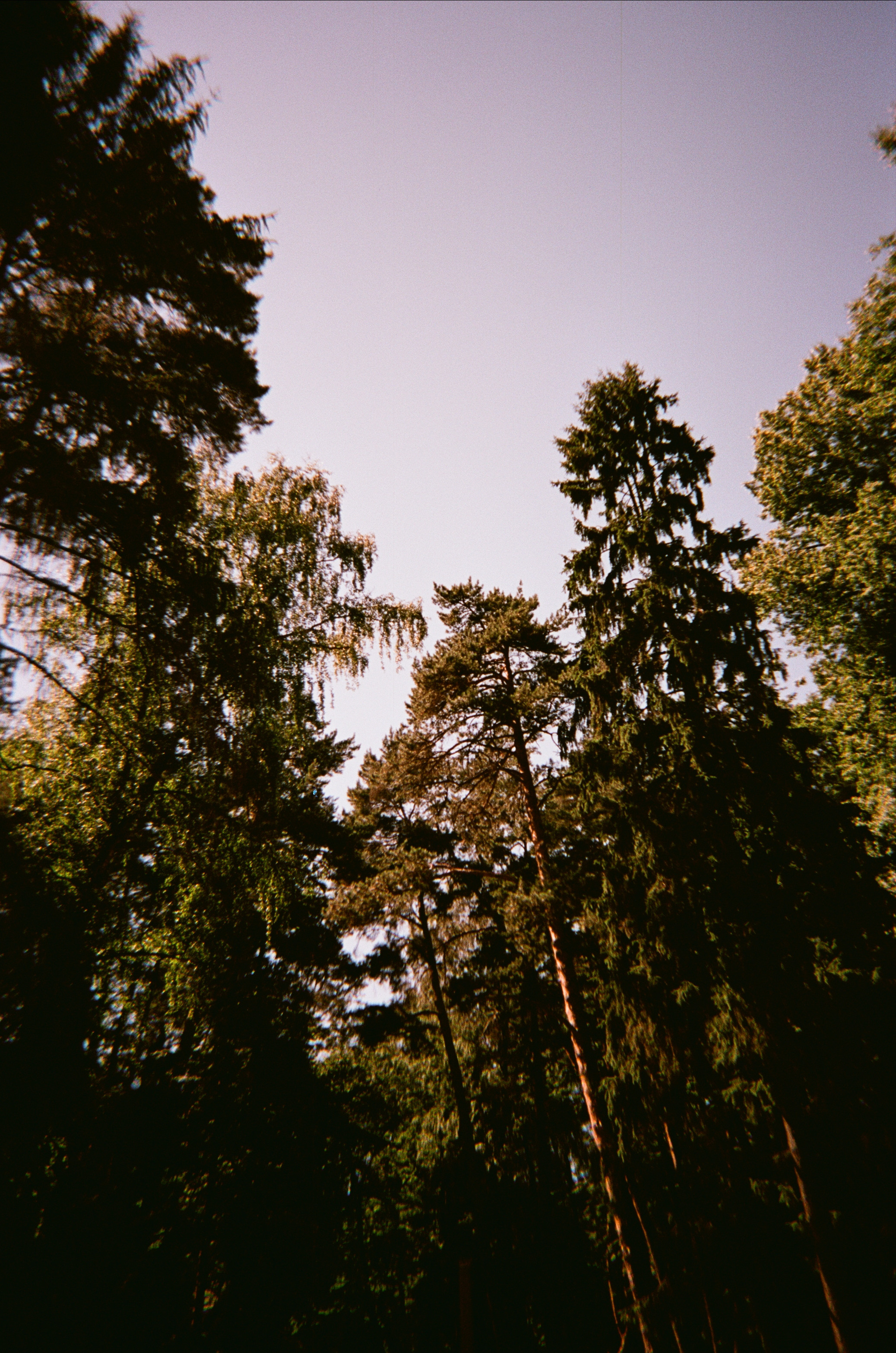 Архангельское. Июльская жара. Фотограф-документалист Мария Осокина