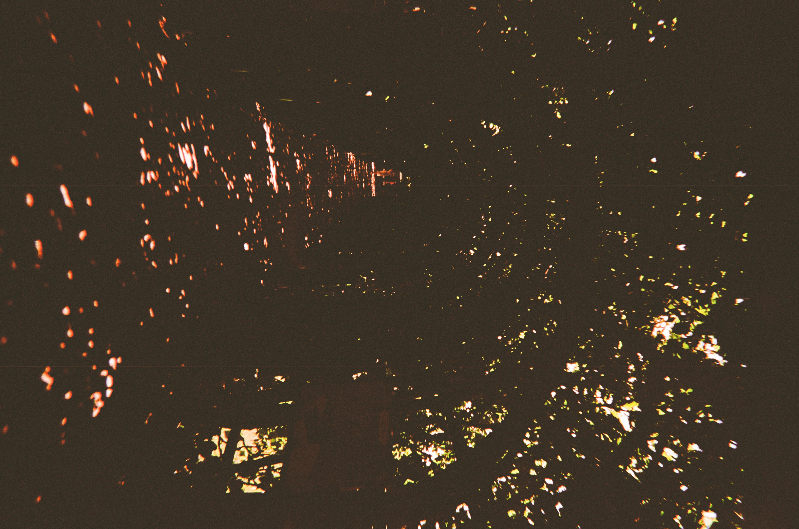 Архангельское. Июльская жара. Фотограф-документалист Мария Осокина