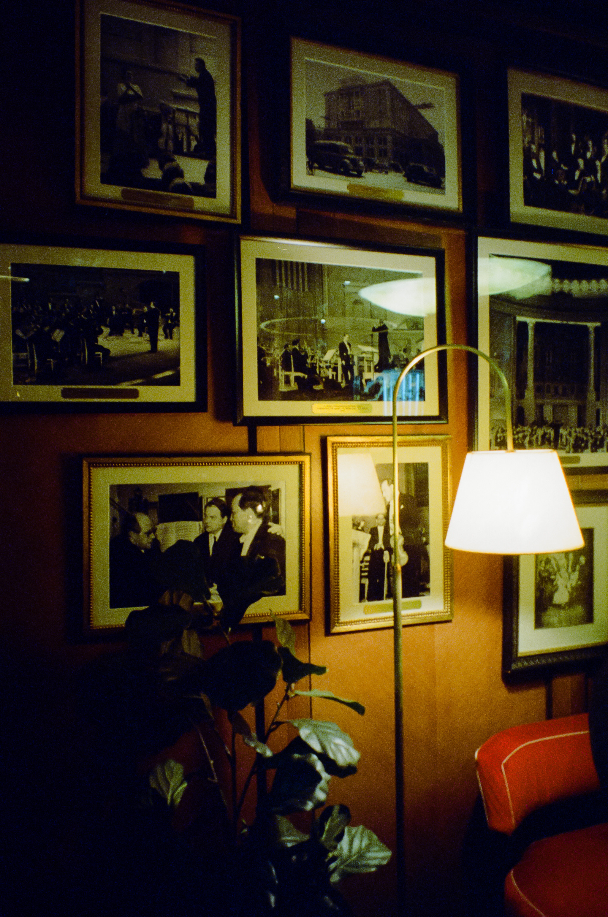 Кафе Чайковский. Фотограф-документалист Мария Осокина