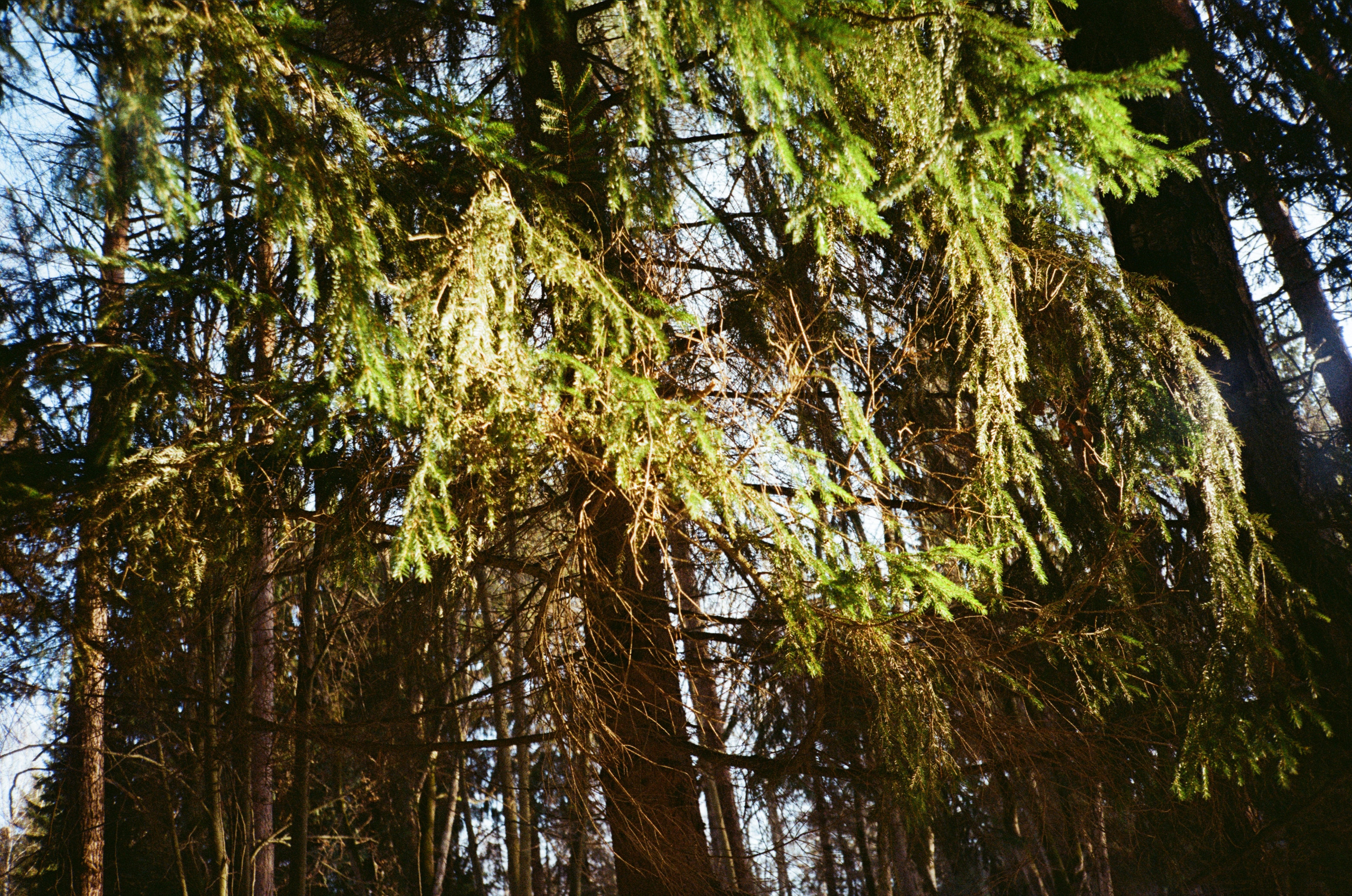 Поленово. Фотограф-документалист Мария Осокина