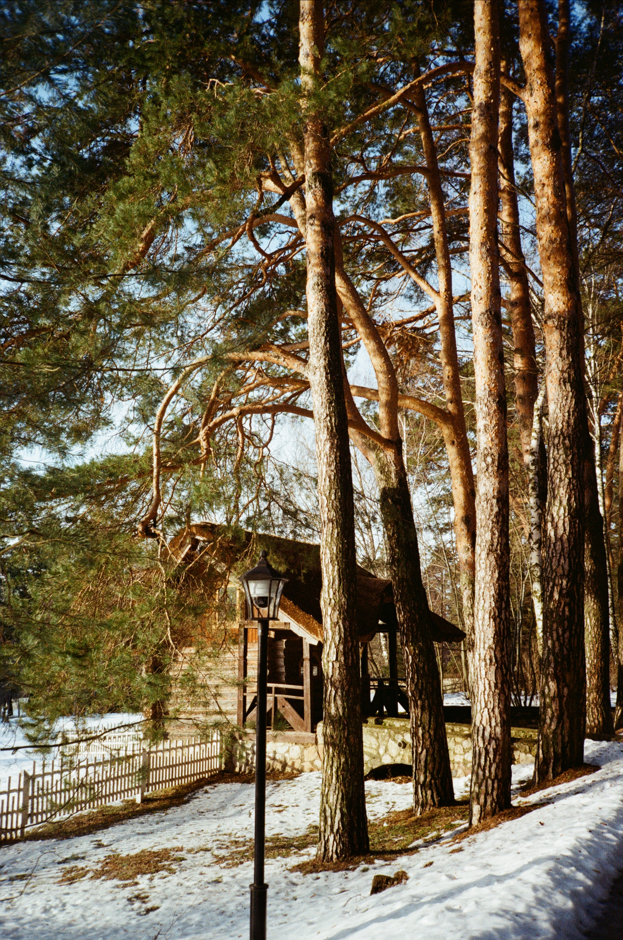Поленово. Фотограф-документалист Мария Осокина