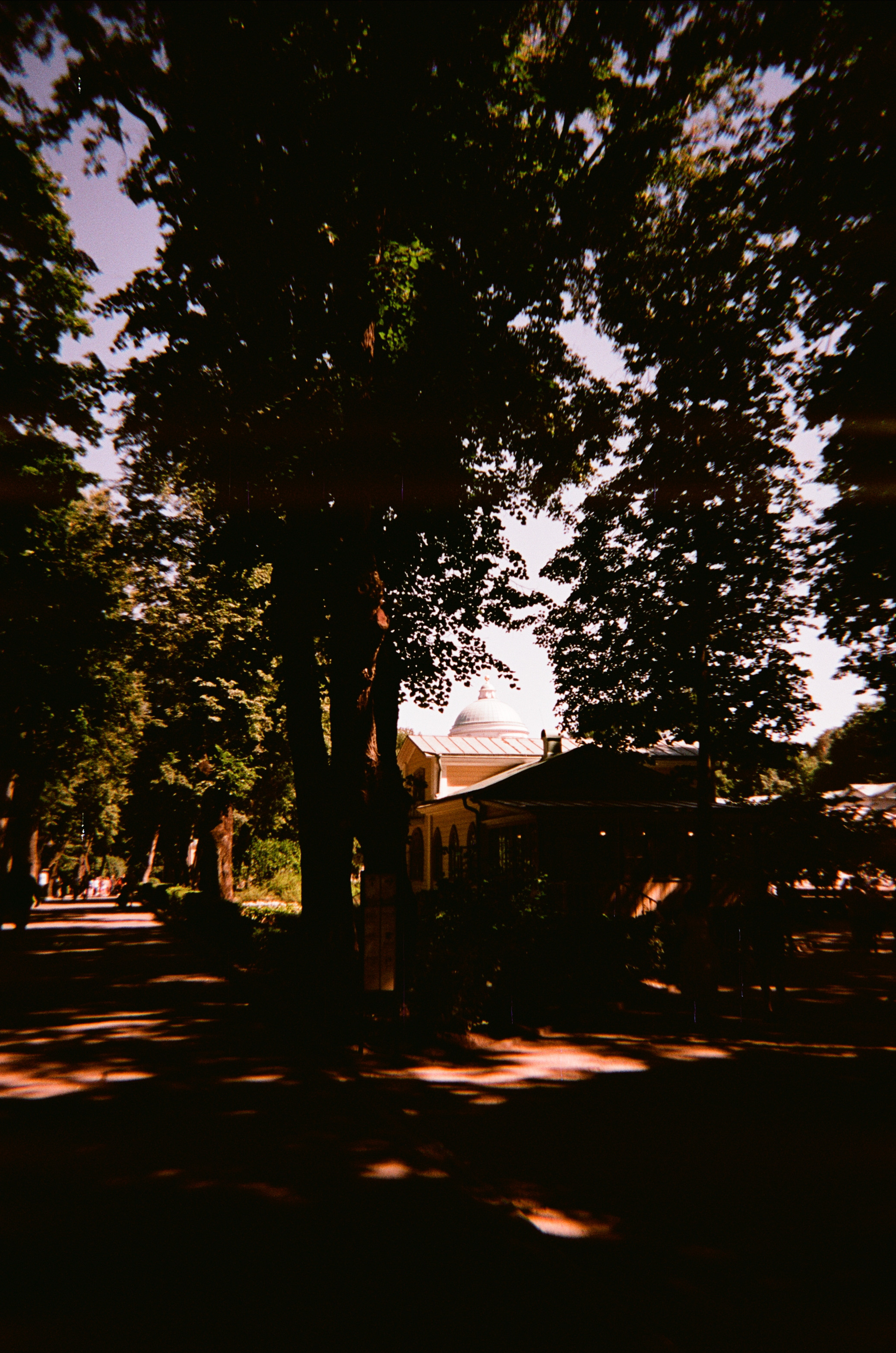 Архангельское. Июльская жара. Фотограф-документалист Мария Осокина