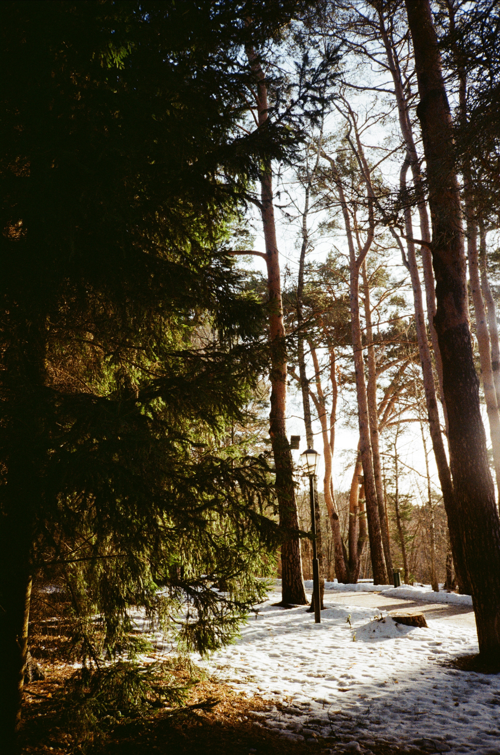 Поленово. Фотограф-документалист Мария Осокина