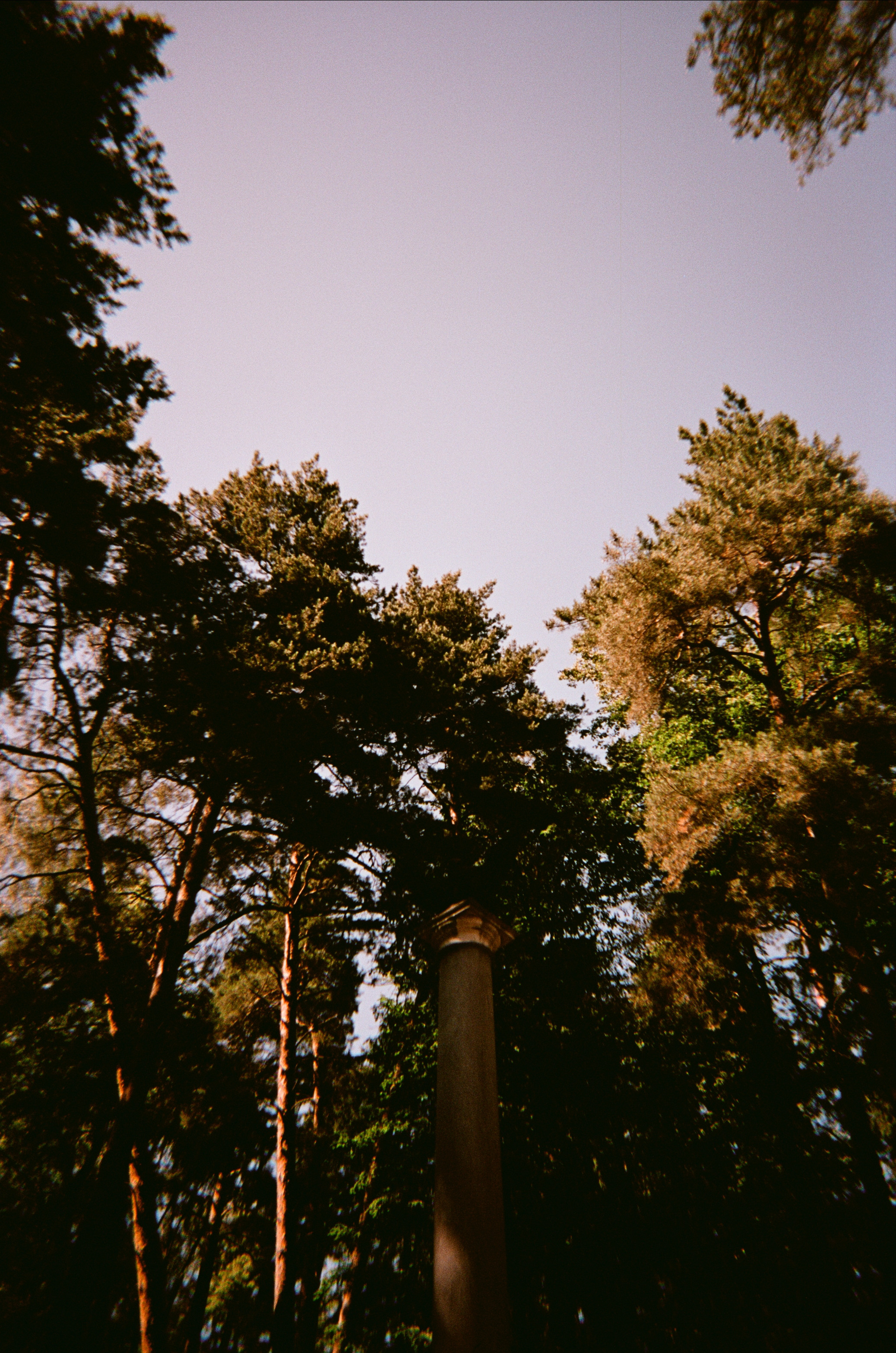 Архангельское. Июльская жара. Фотограф-документалист Мария Осокина