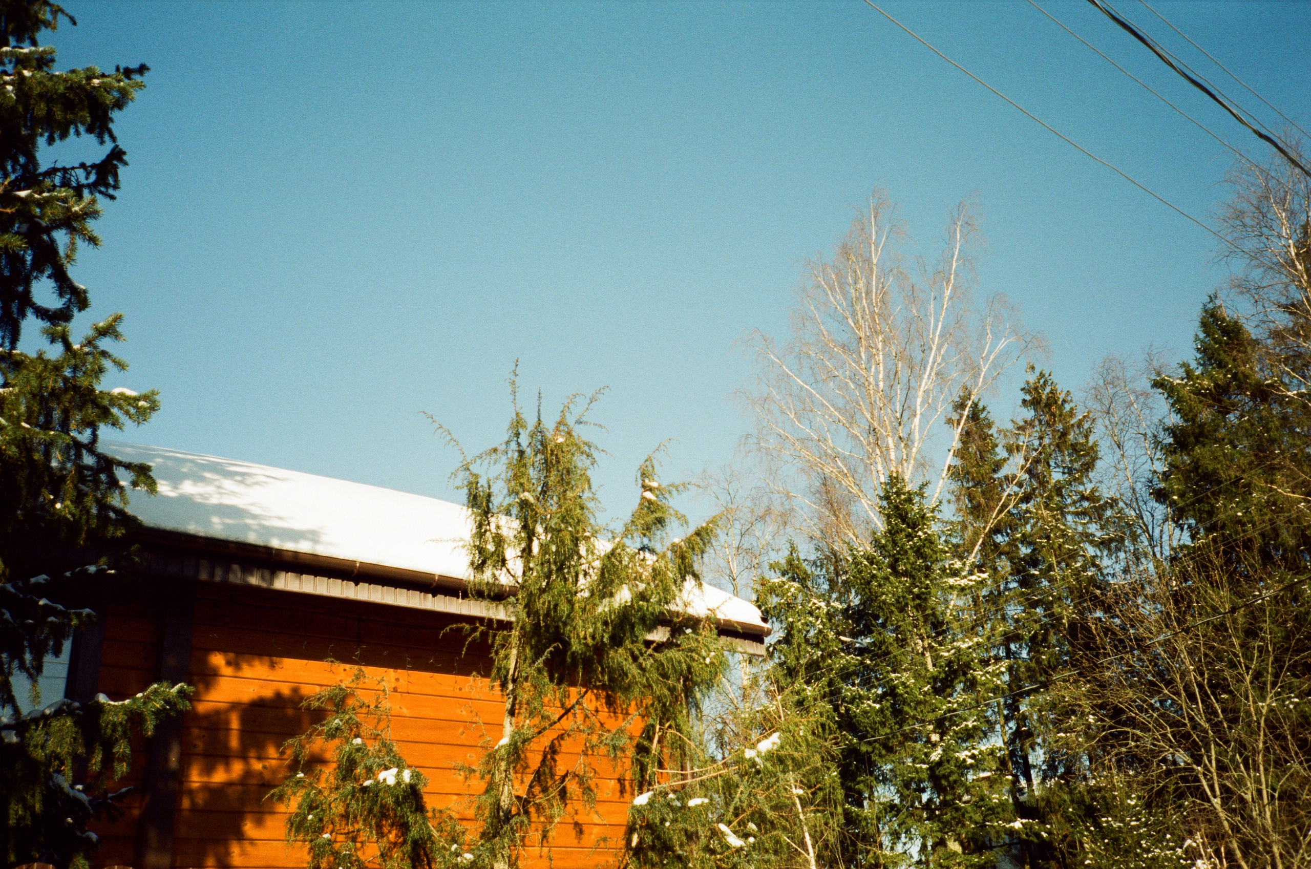 Давыдовское. Солнечный февраль. Фотограф-документалист Мария Осокина