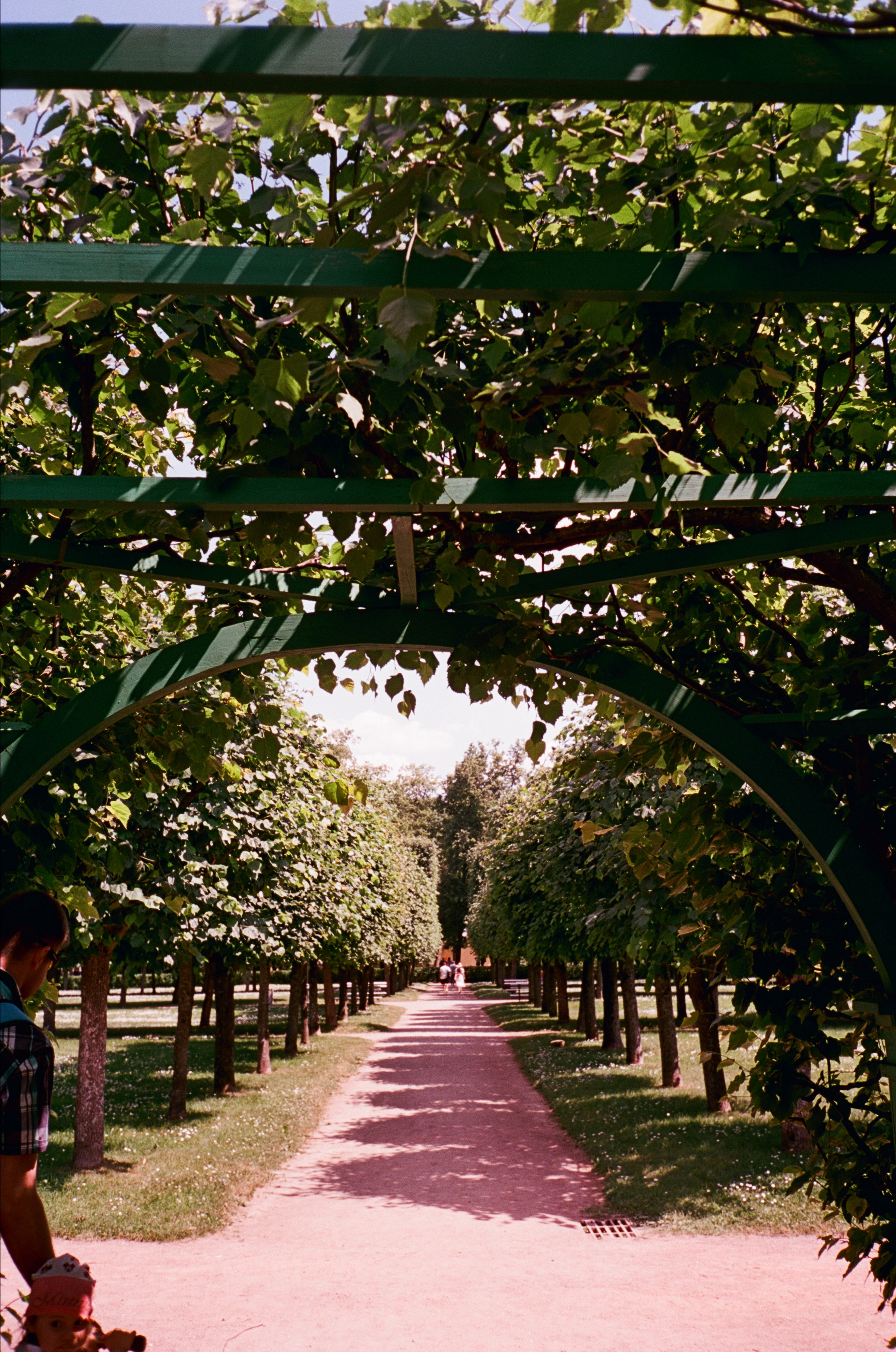 Архангельское. Лето. Июль. Фотограф-документалист Мария Осокина