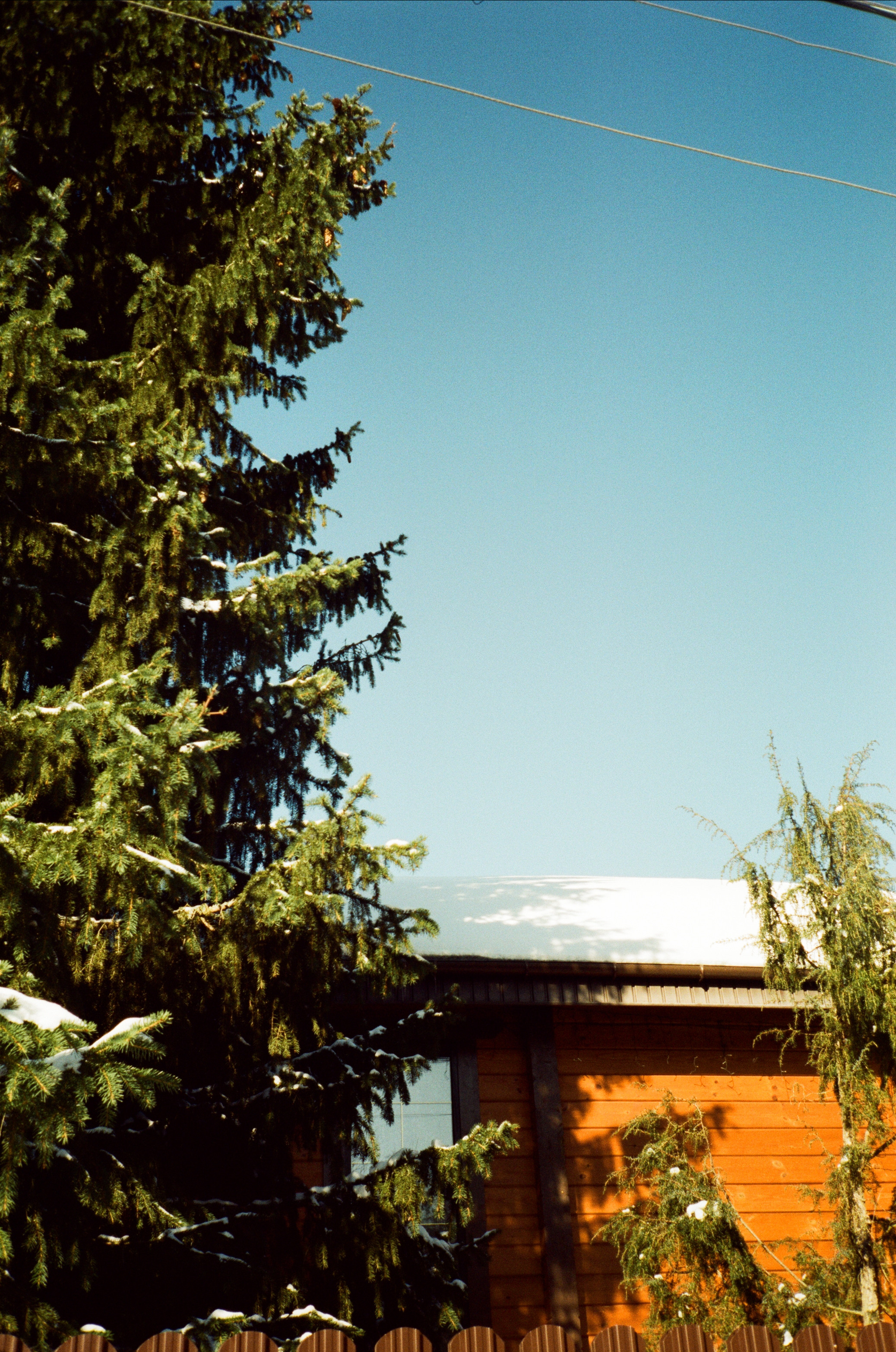 Давыдовское. Солнечный февраль. Фотограф-документалист Мария Осокина