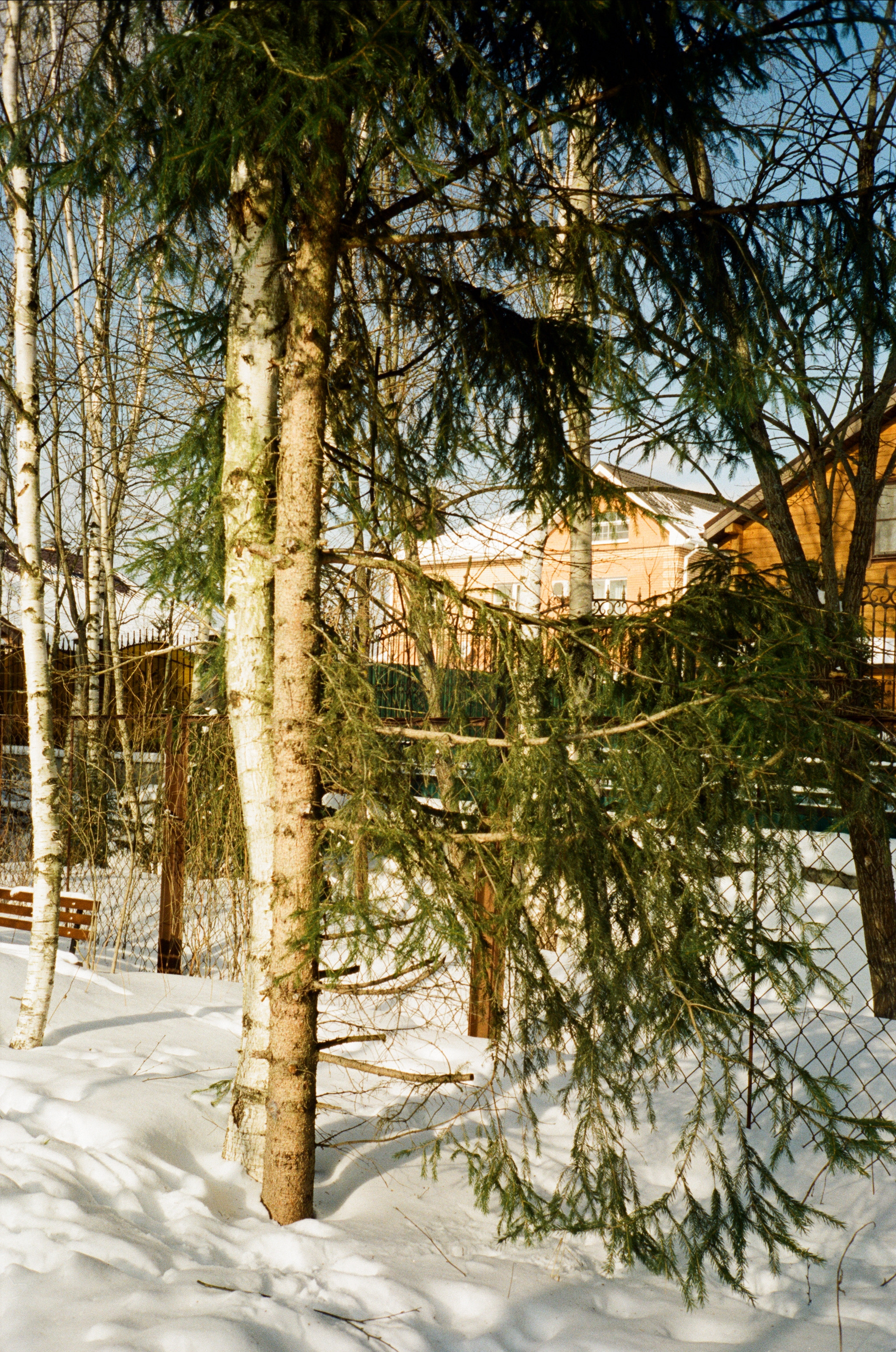Давыдовское. Морозный вайб. Фотограф-документалист Мария Осокина