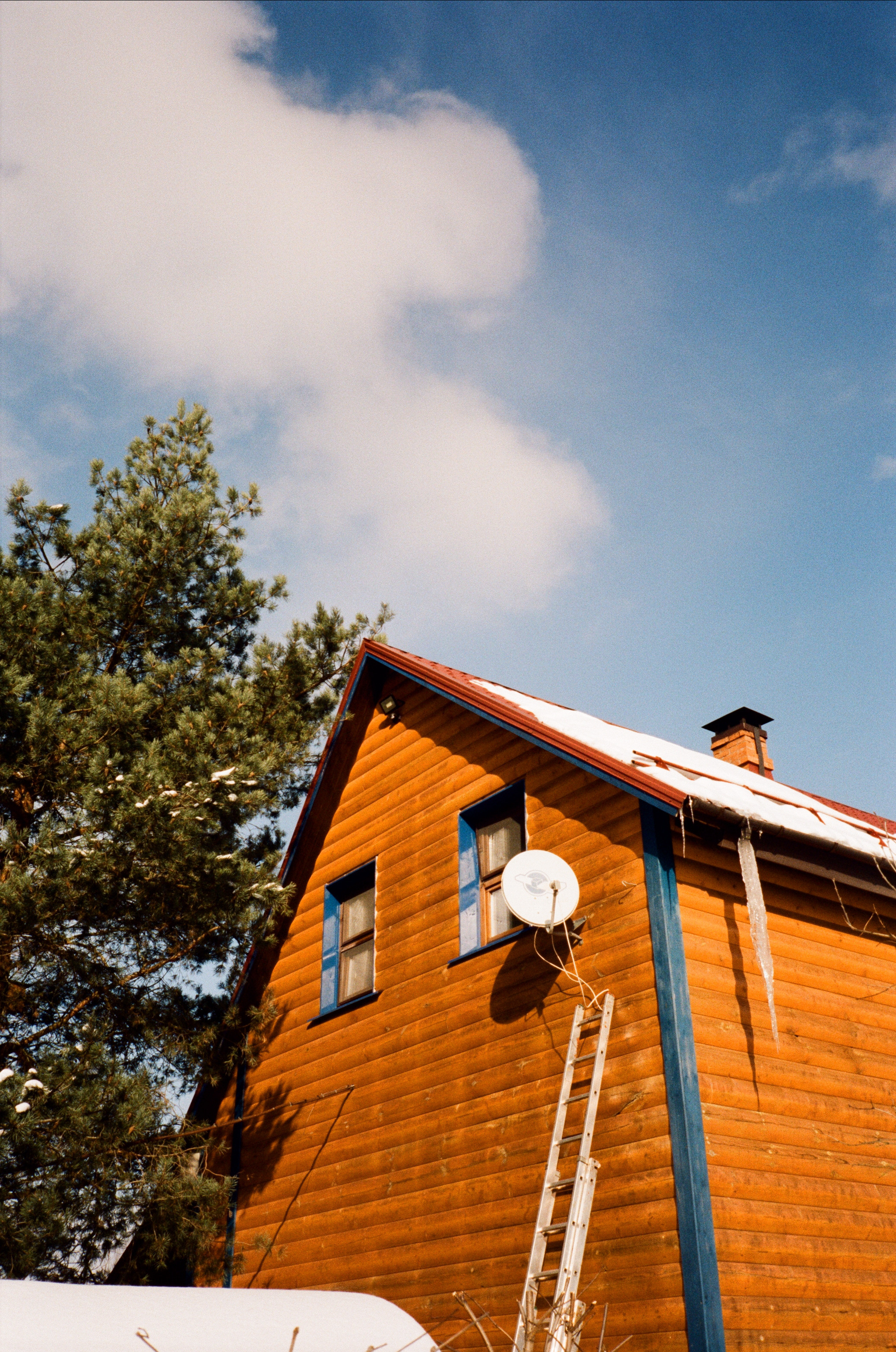 Давыдовское. Морозный вайб. Фотограф-документалист Мария Осокина