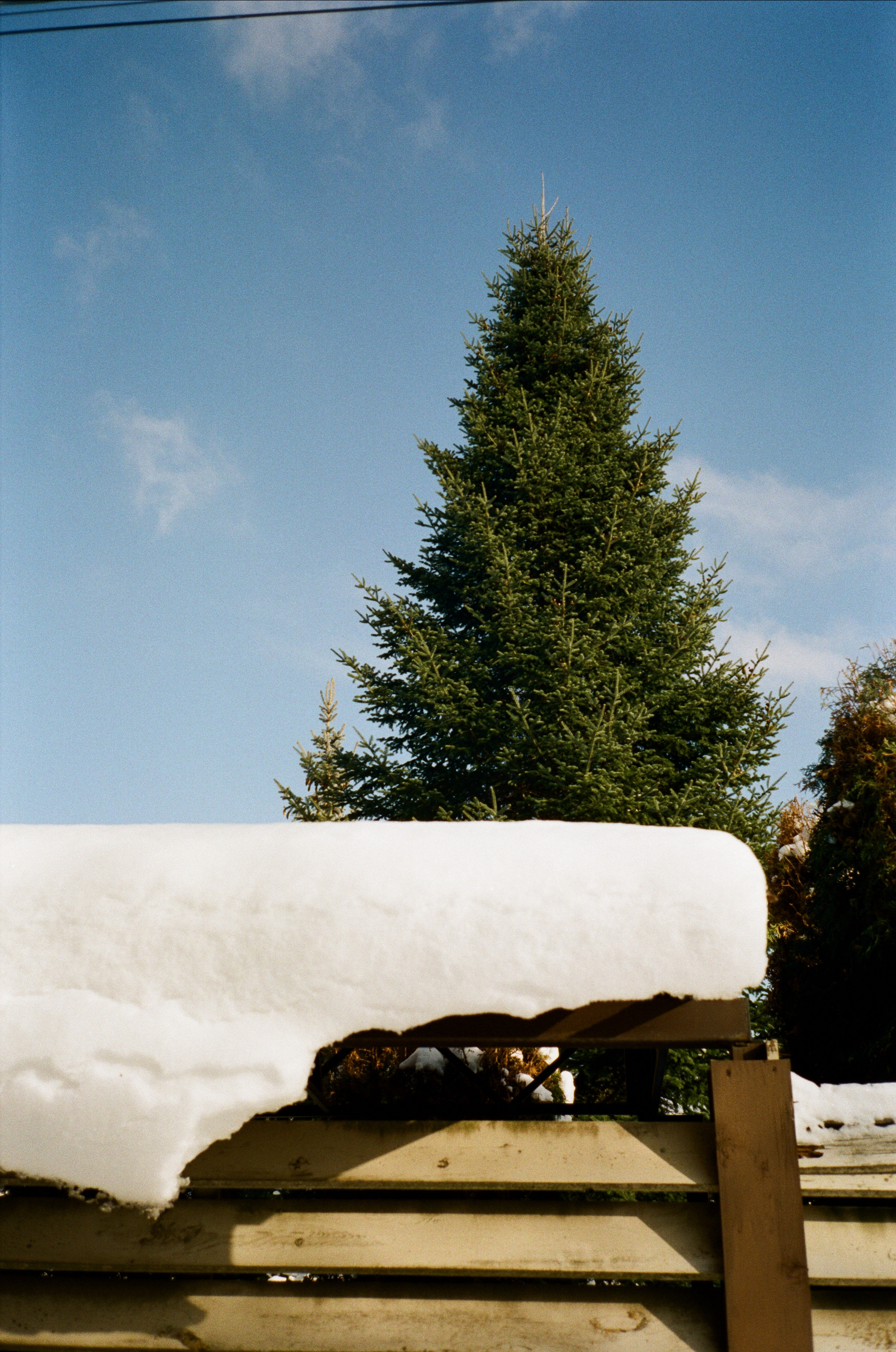 Давыдовское. Морозный вайб. Фотограф-документалист Мария Осокина