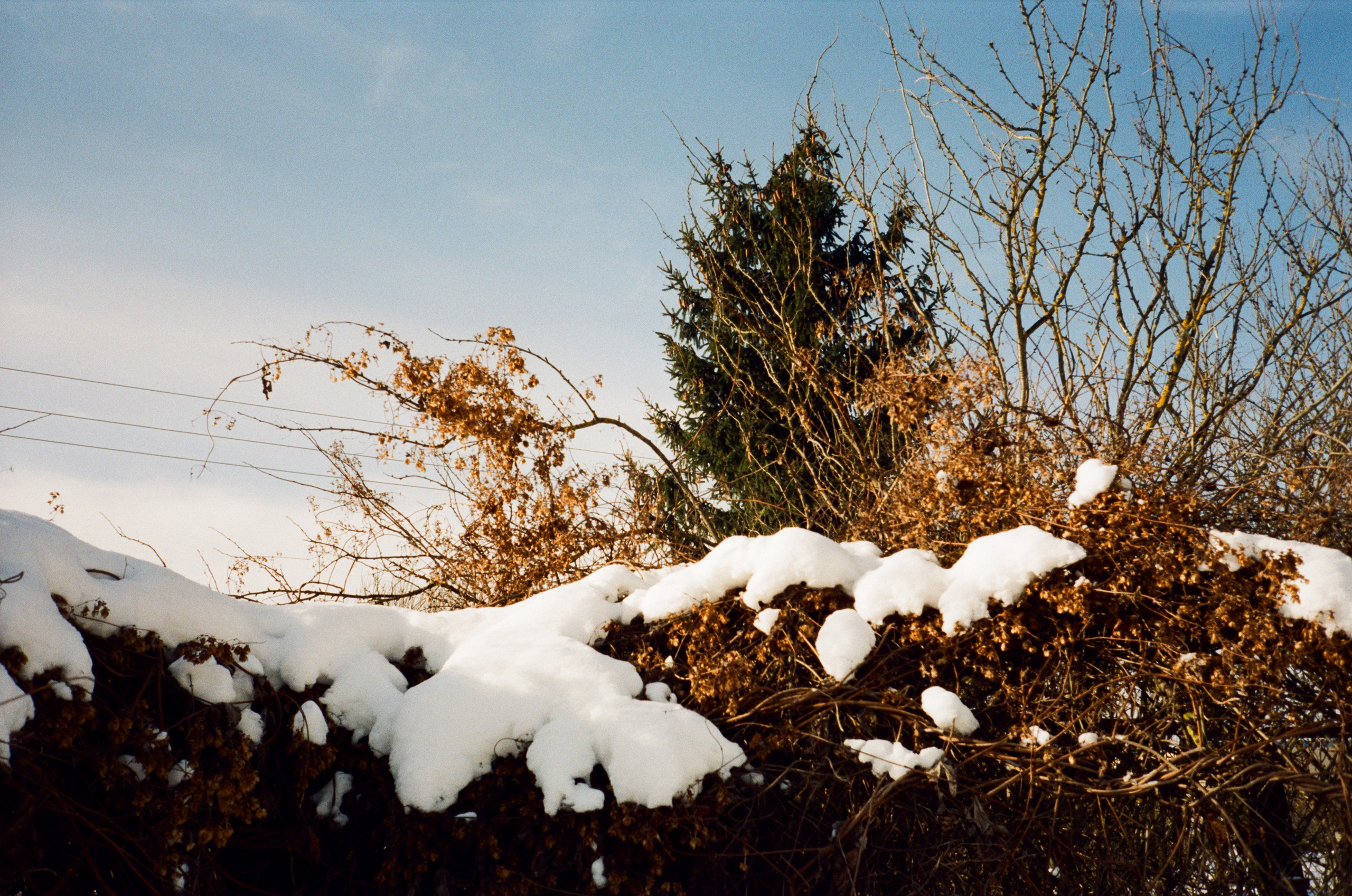 Давыдовское. Морозный вайб. Фотограф-документалист Мария Осокина